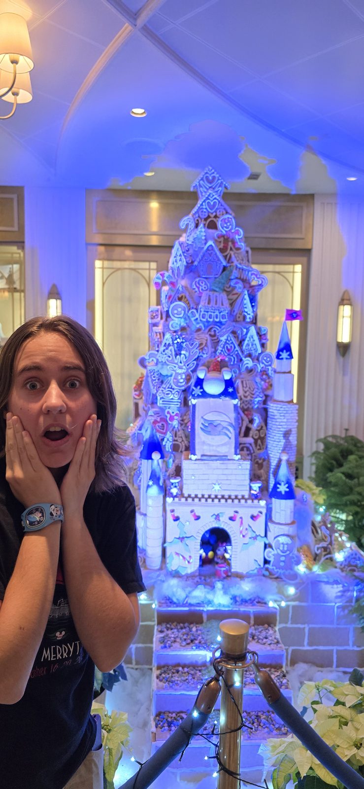 Lisa surprised by the castle display