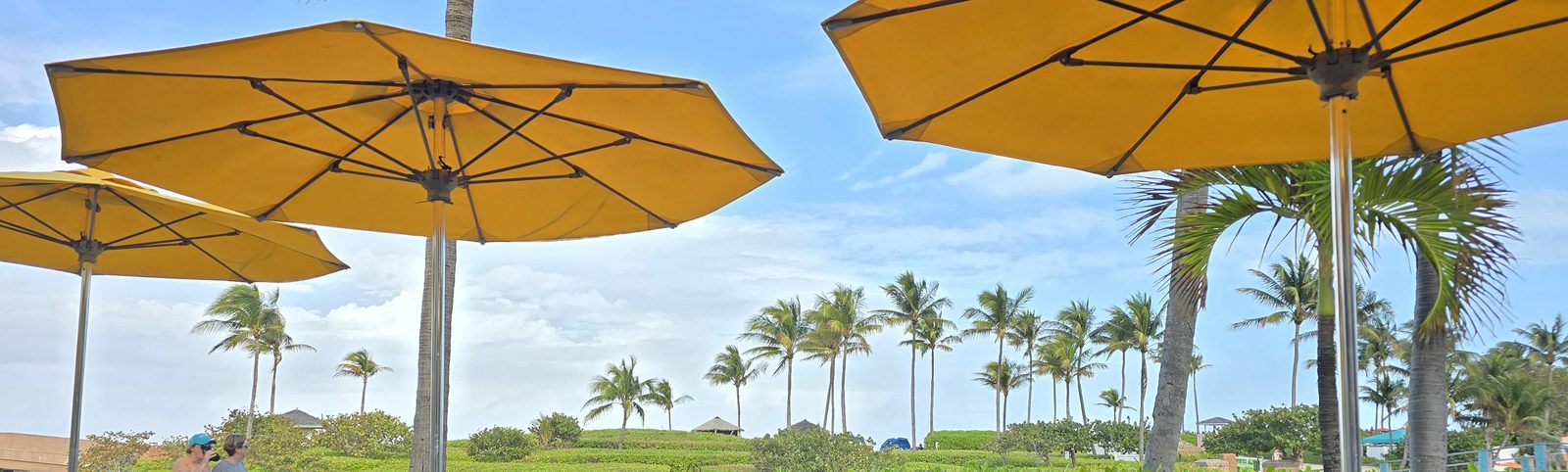 Atlantis Paradise Island, Nassau