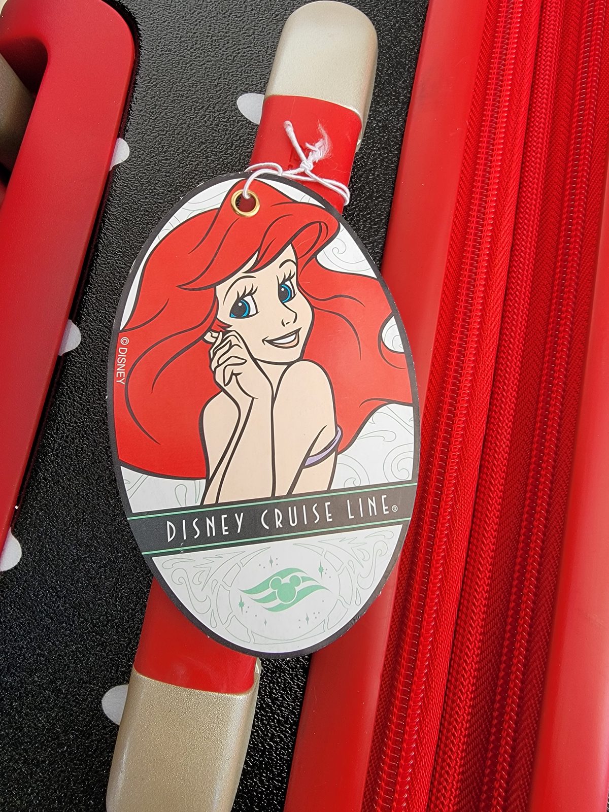 Ariel on our luggage tag for disembarkation