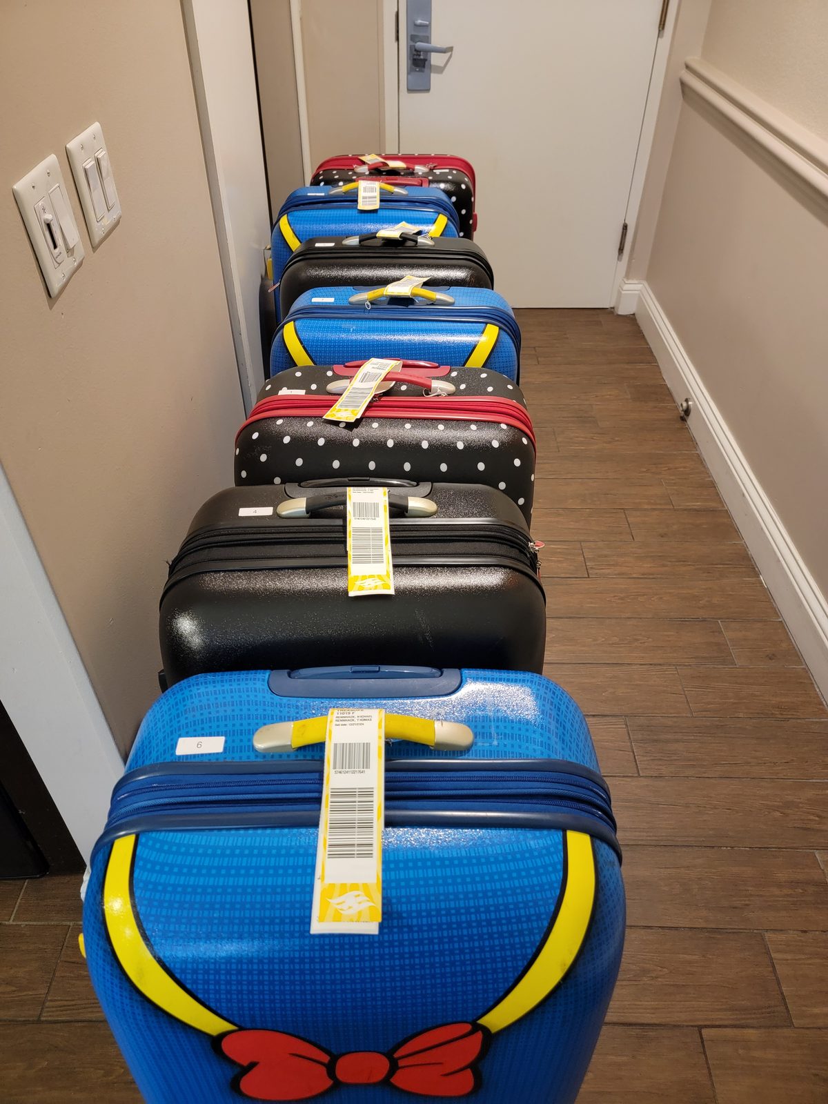 Our bags tagged and lined up, ready to go