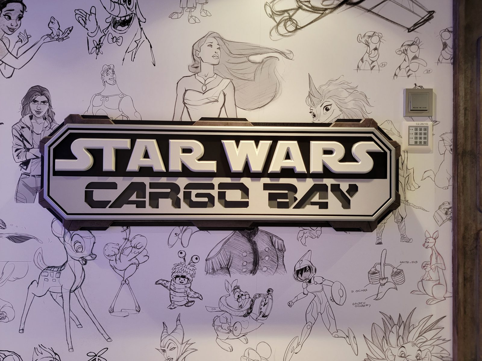 The Star Wars Cargo Bay sign on the Treasure