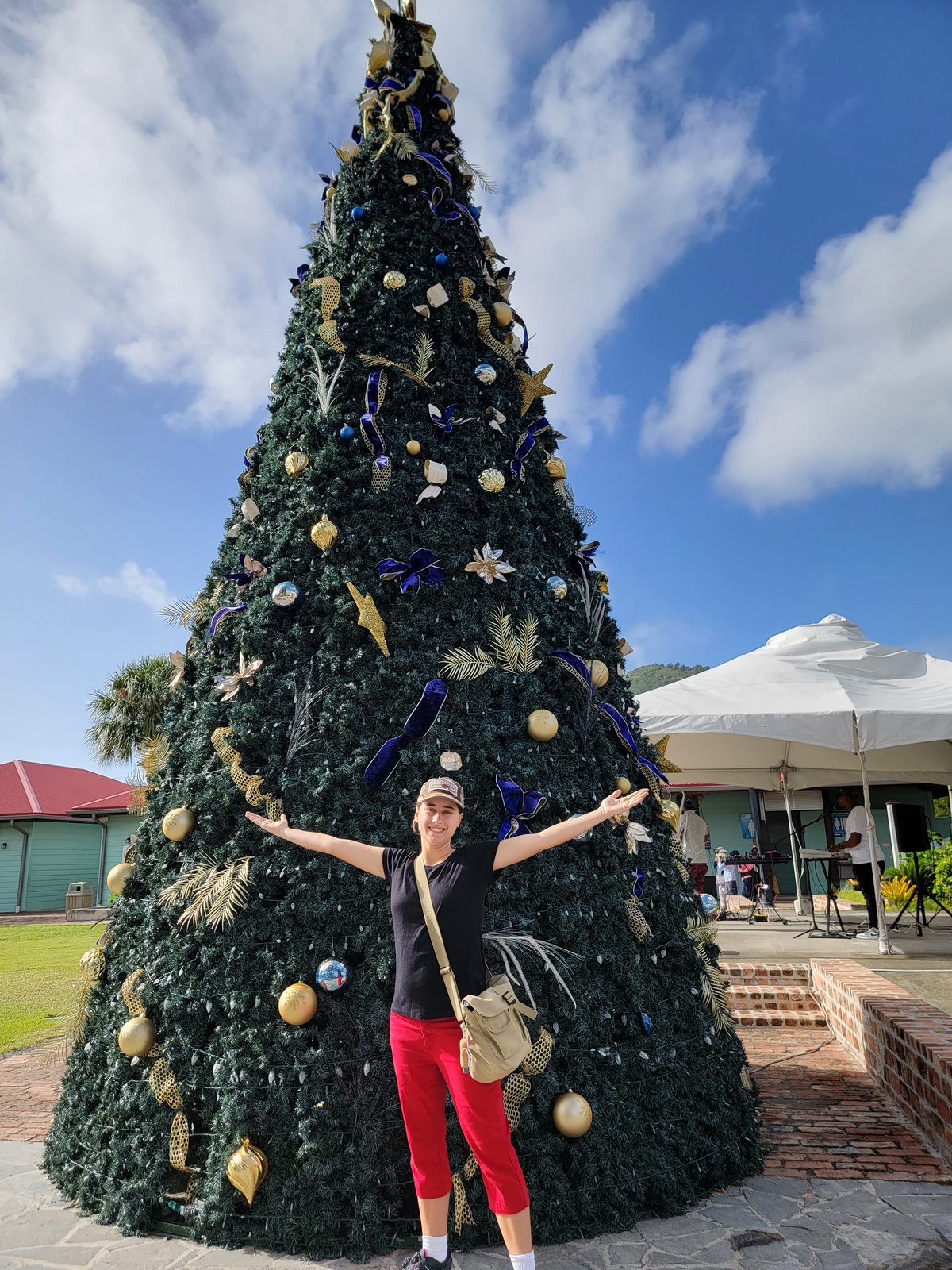 Lisa by the Christmas tree at Tortola Pier Park