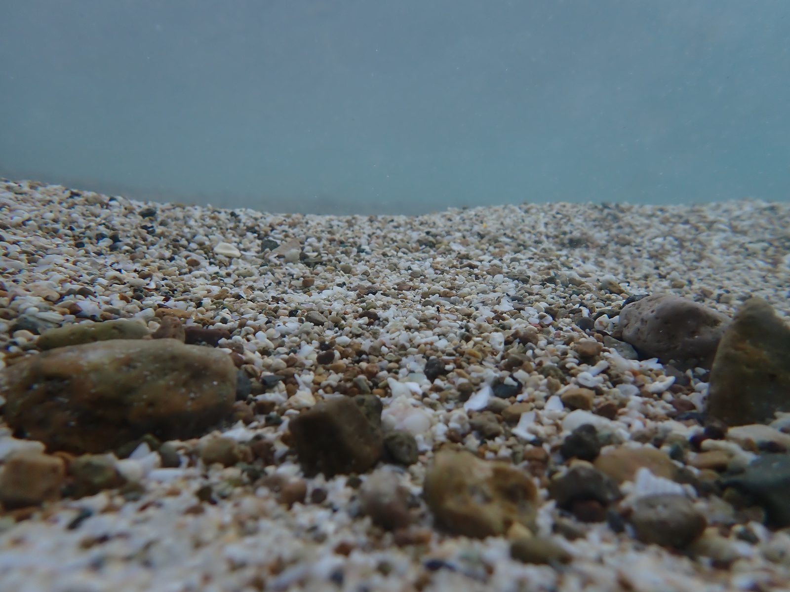 The pebbly bottom of Lindbergh Bay off Emerald Beach Resort, underwater