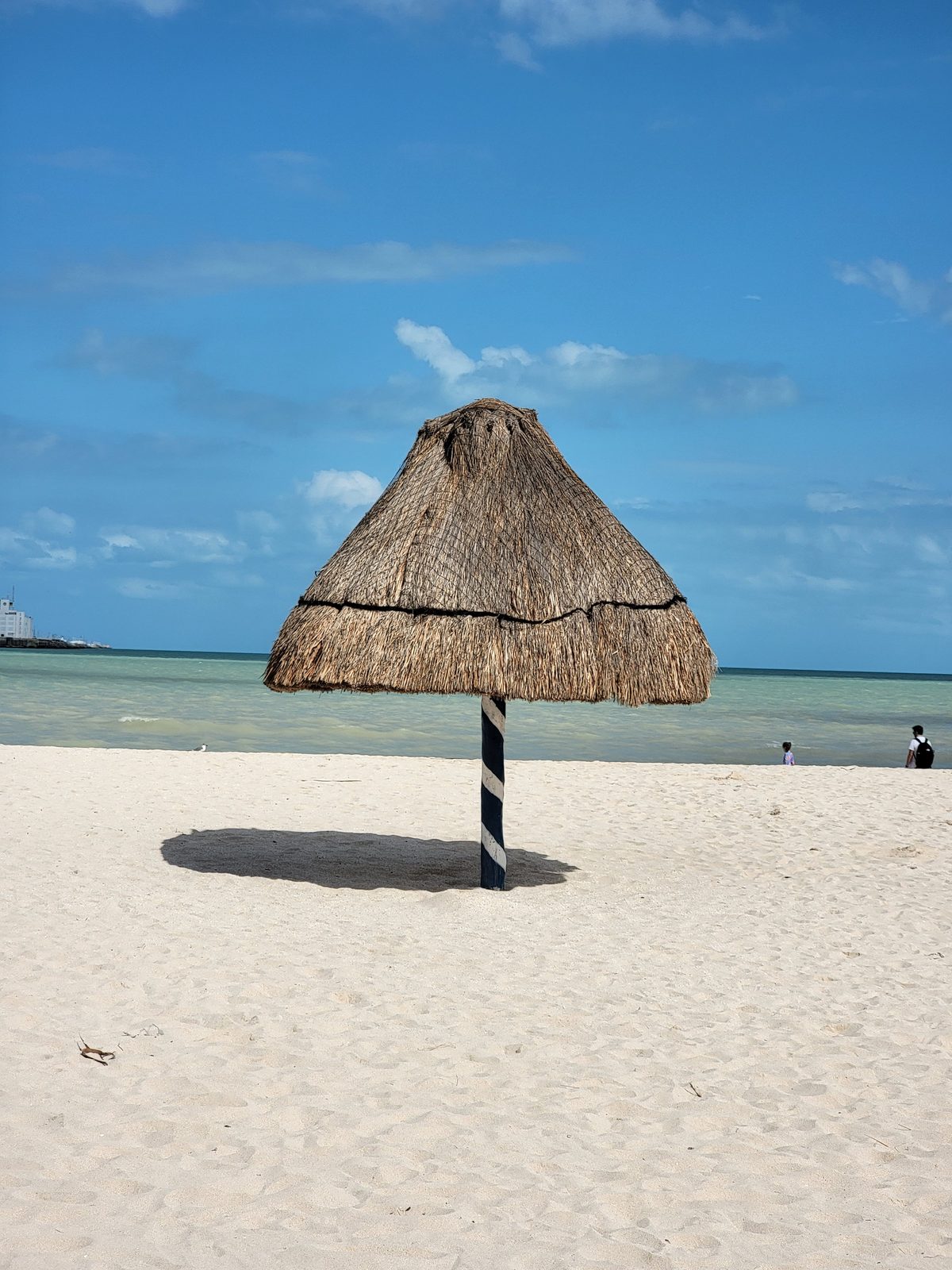 A palapa on the beach in Progreso