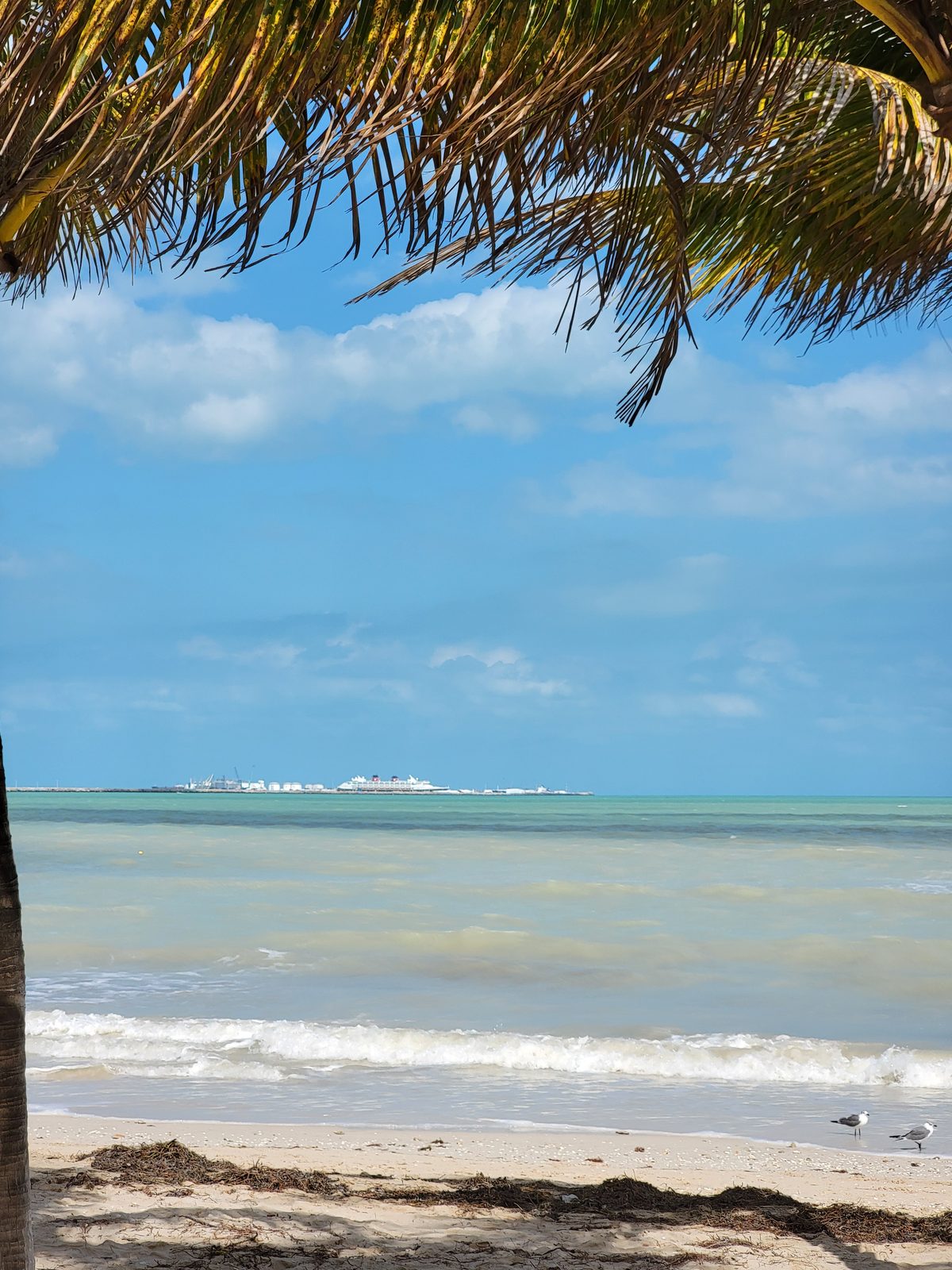 The water in Progreso
