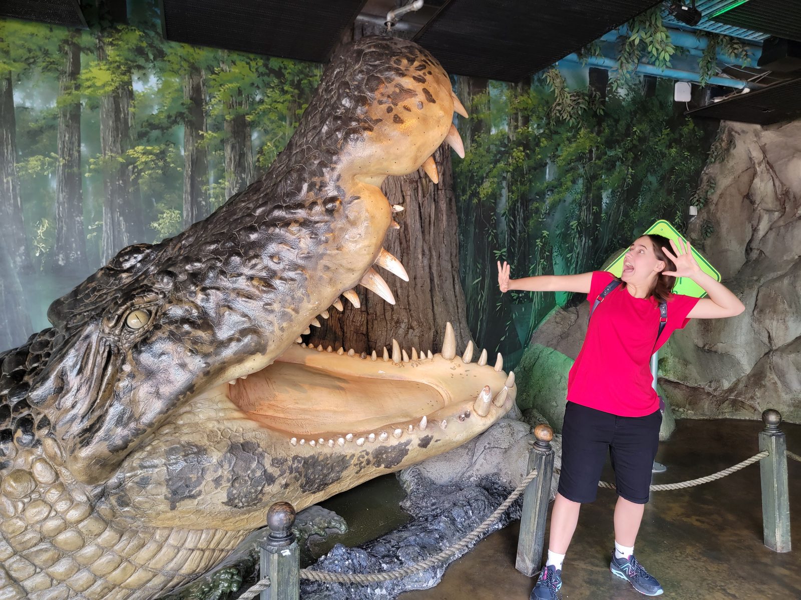 Inside a crocodile's open jaws