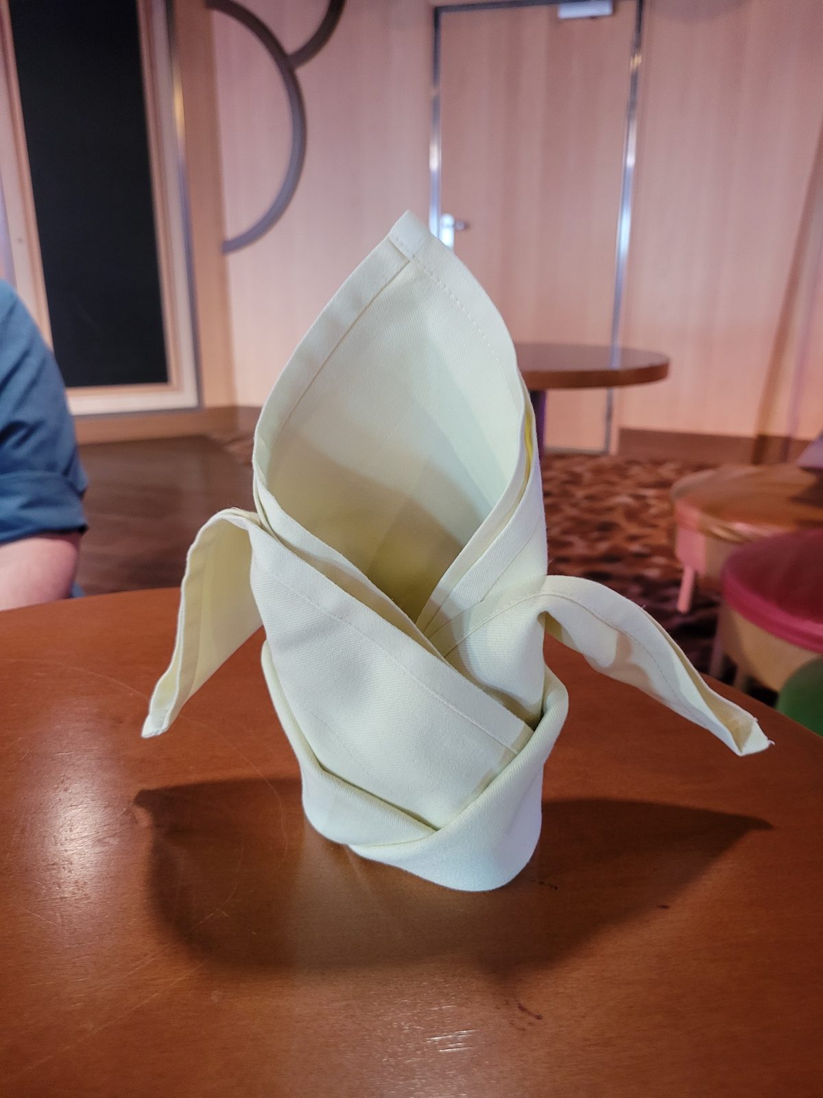 Lisa's napkin folding demonstration