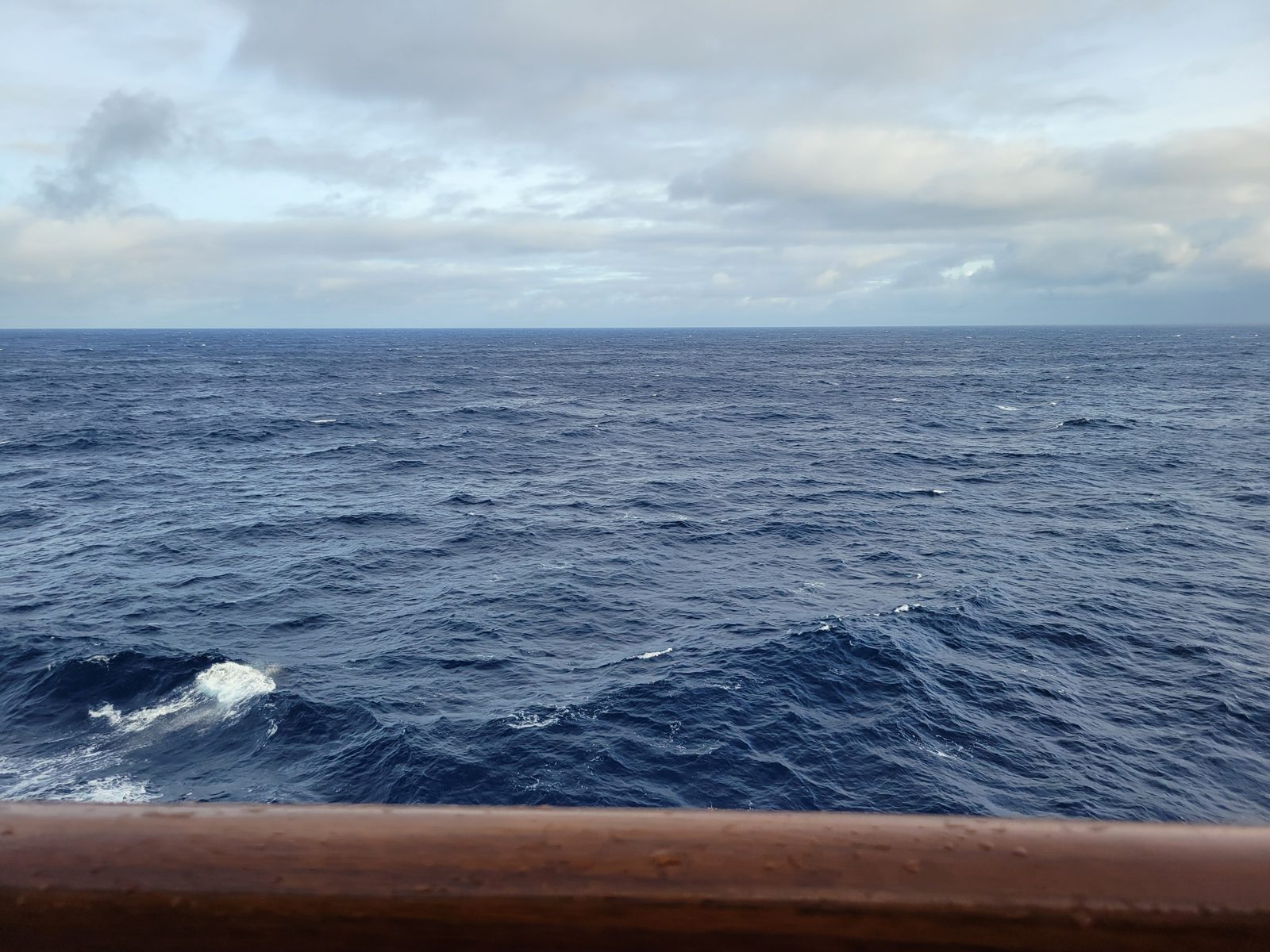 Photo: Day at Sea, day 5