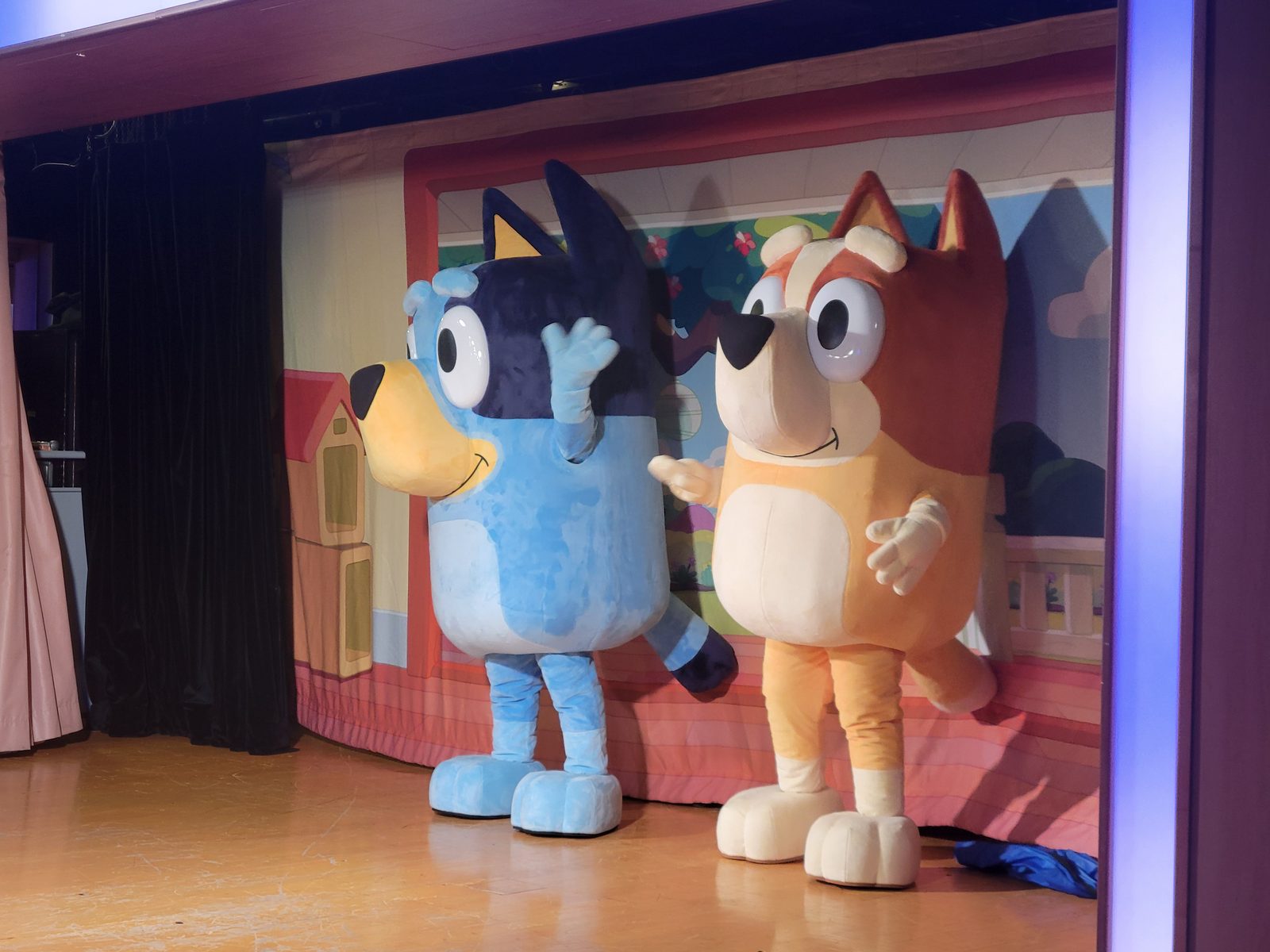 Bluey & Bingo on their meet-and-greet set