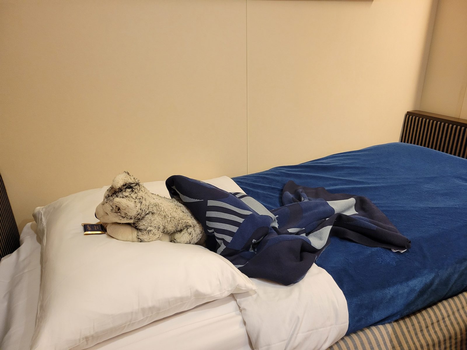 Bob beside a towel animal