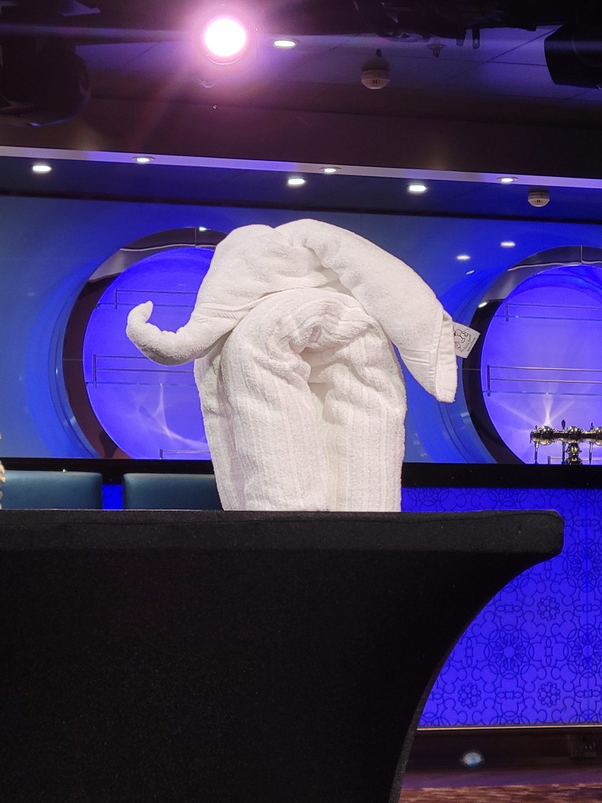 A towel folded into an elephant