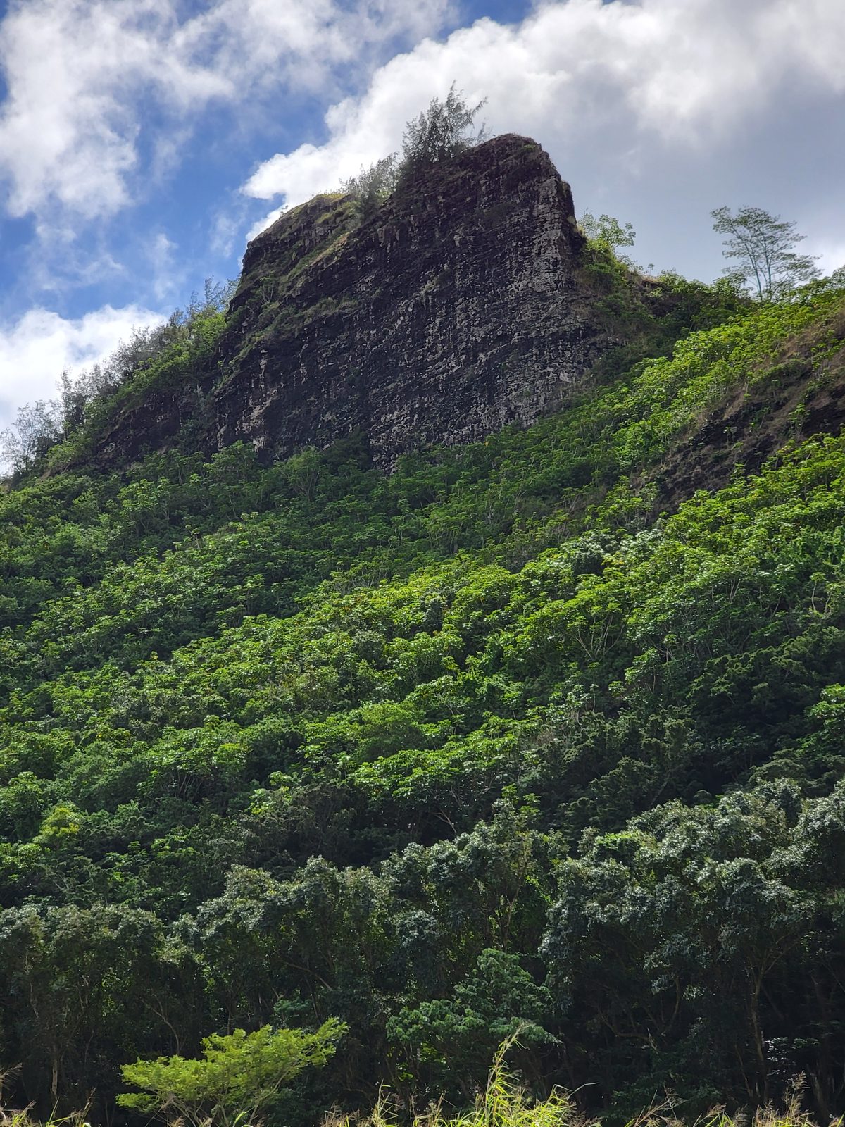 The jungle peak above Opaekaa Falls