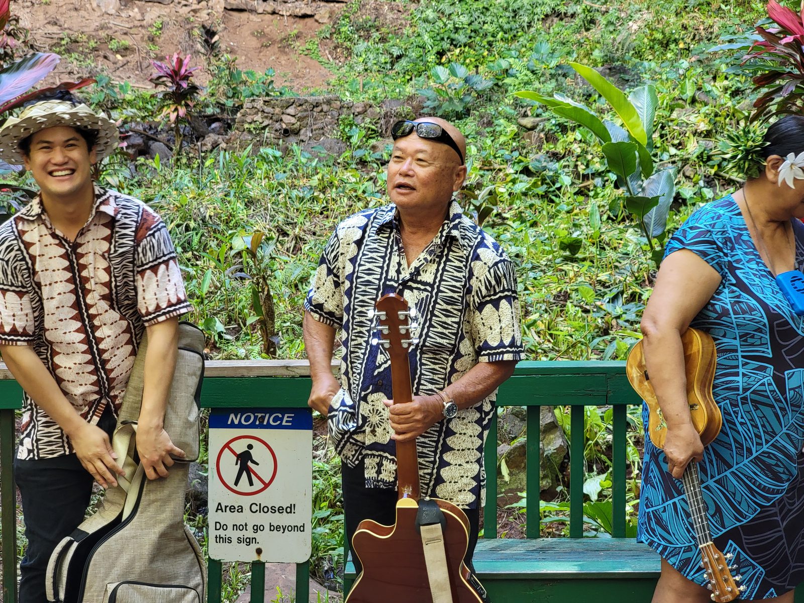 Musicians play in the fern grotto
