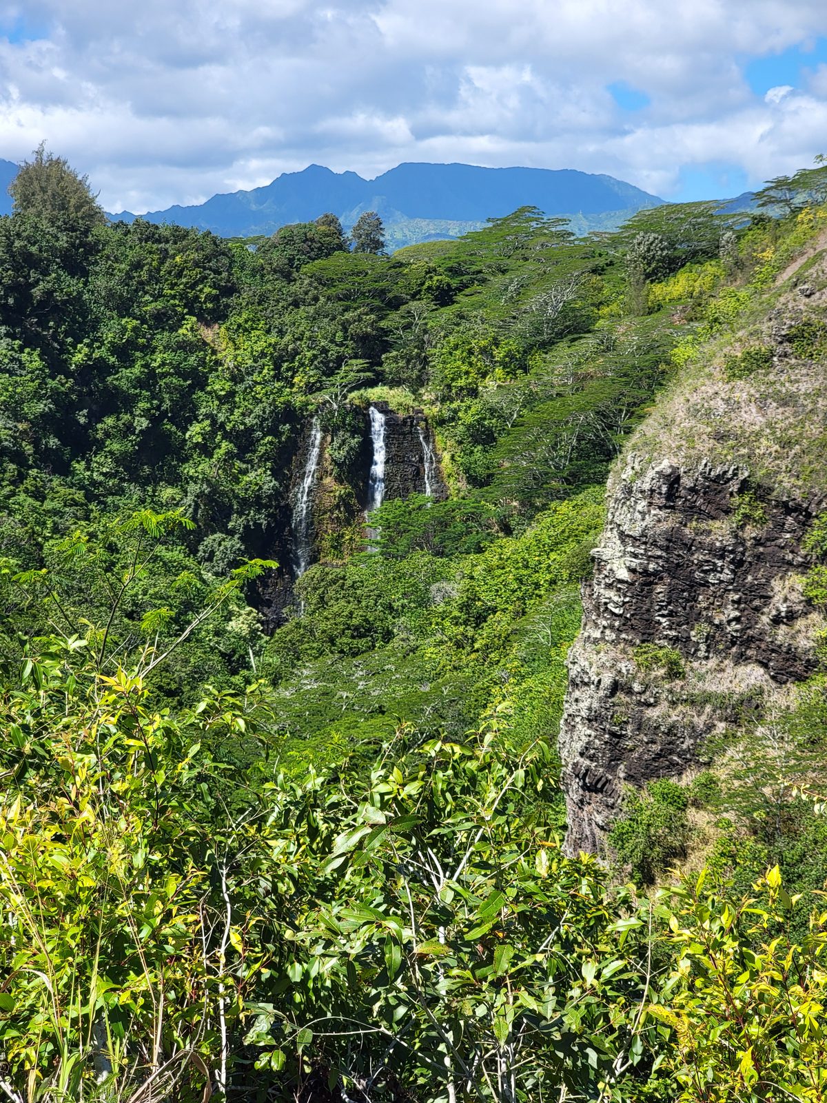 Opaekaa Falls from the overlook