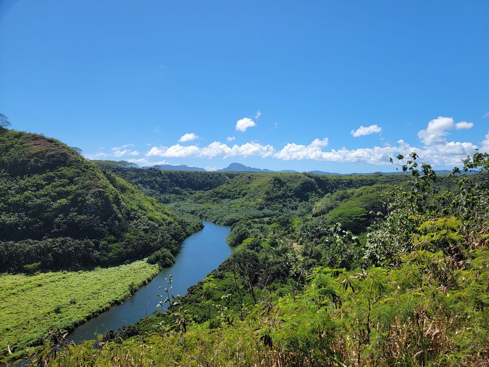 The Wailua River valley from Opaekaa Falls