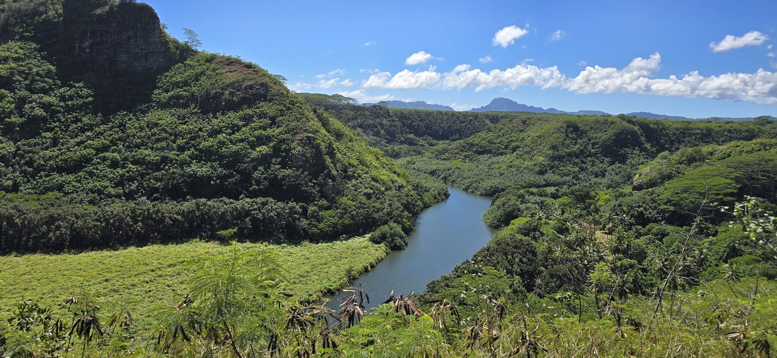 Wailua River valley from the Opaekaa Falls overlook