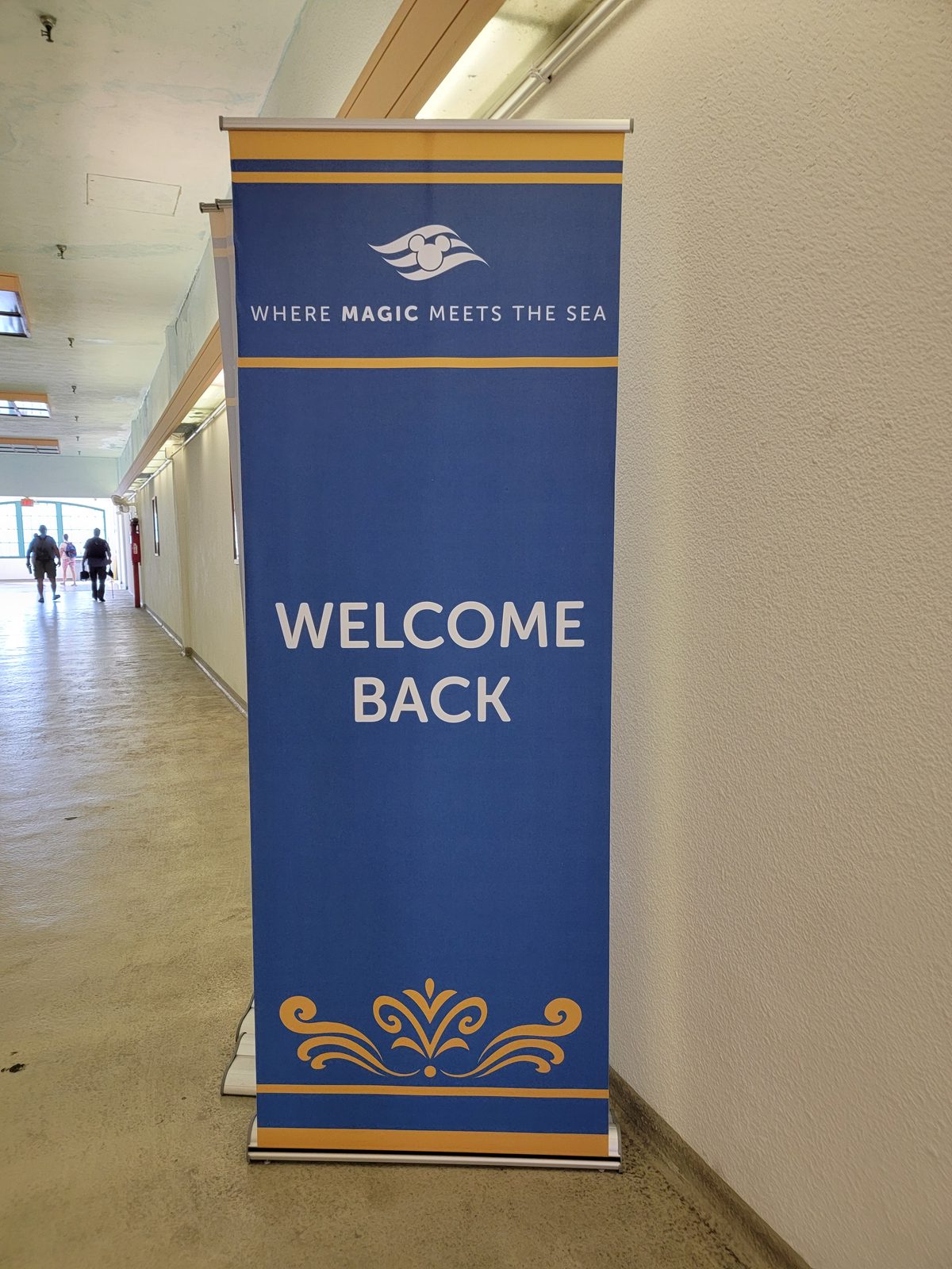 Welcome back sign in the terminal