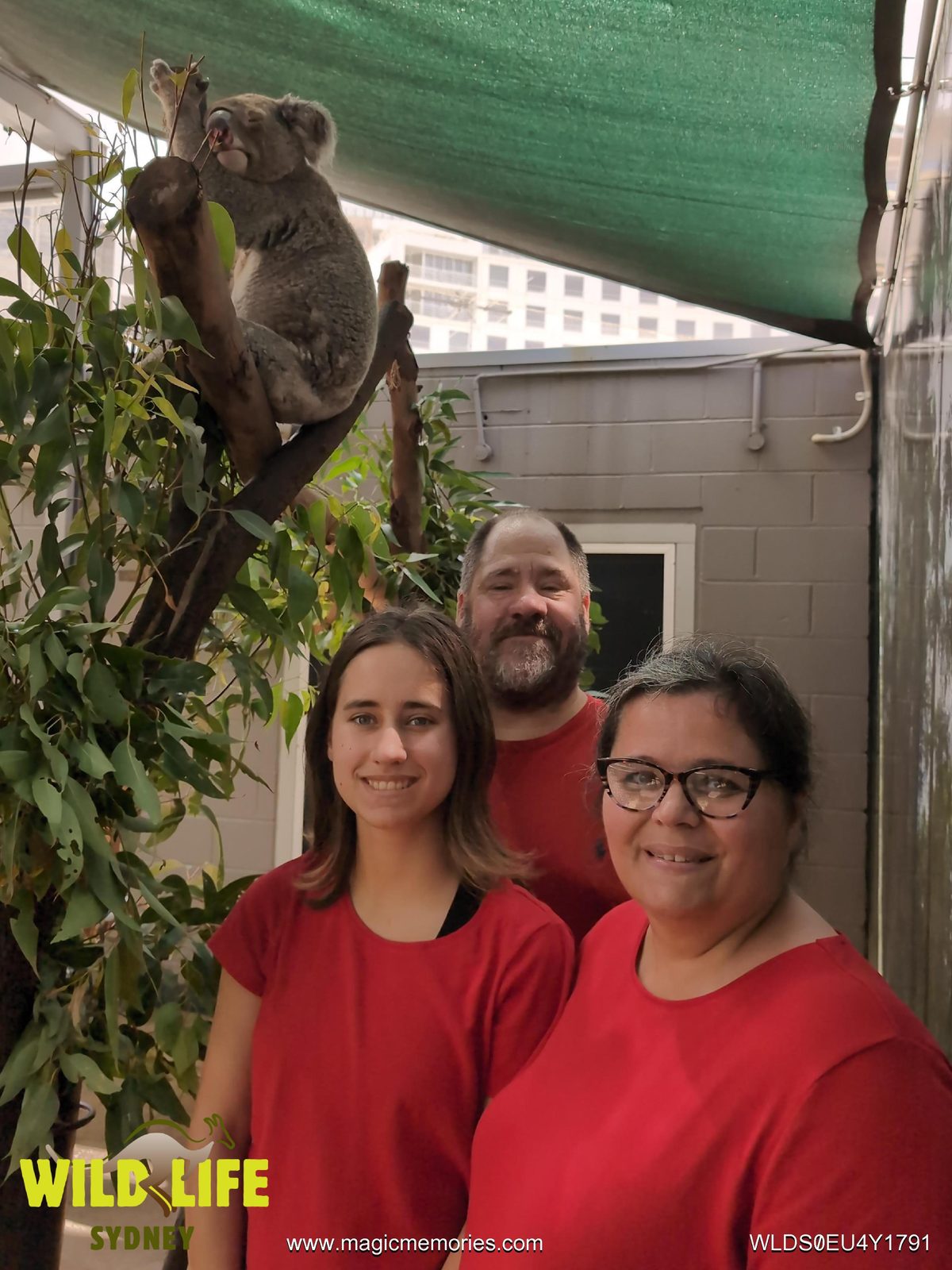 The three of us with a koala