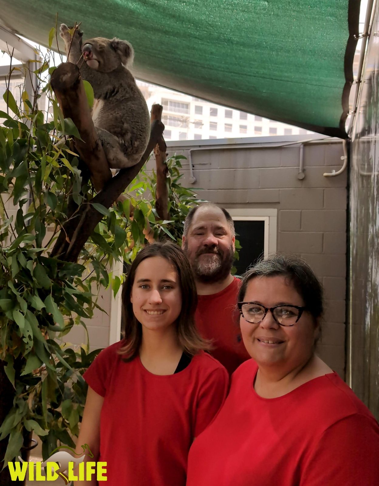 The family at WILD LIFE Sydney Zoo