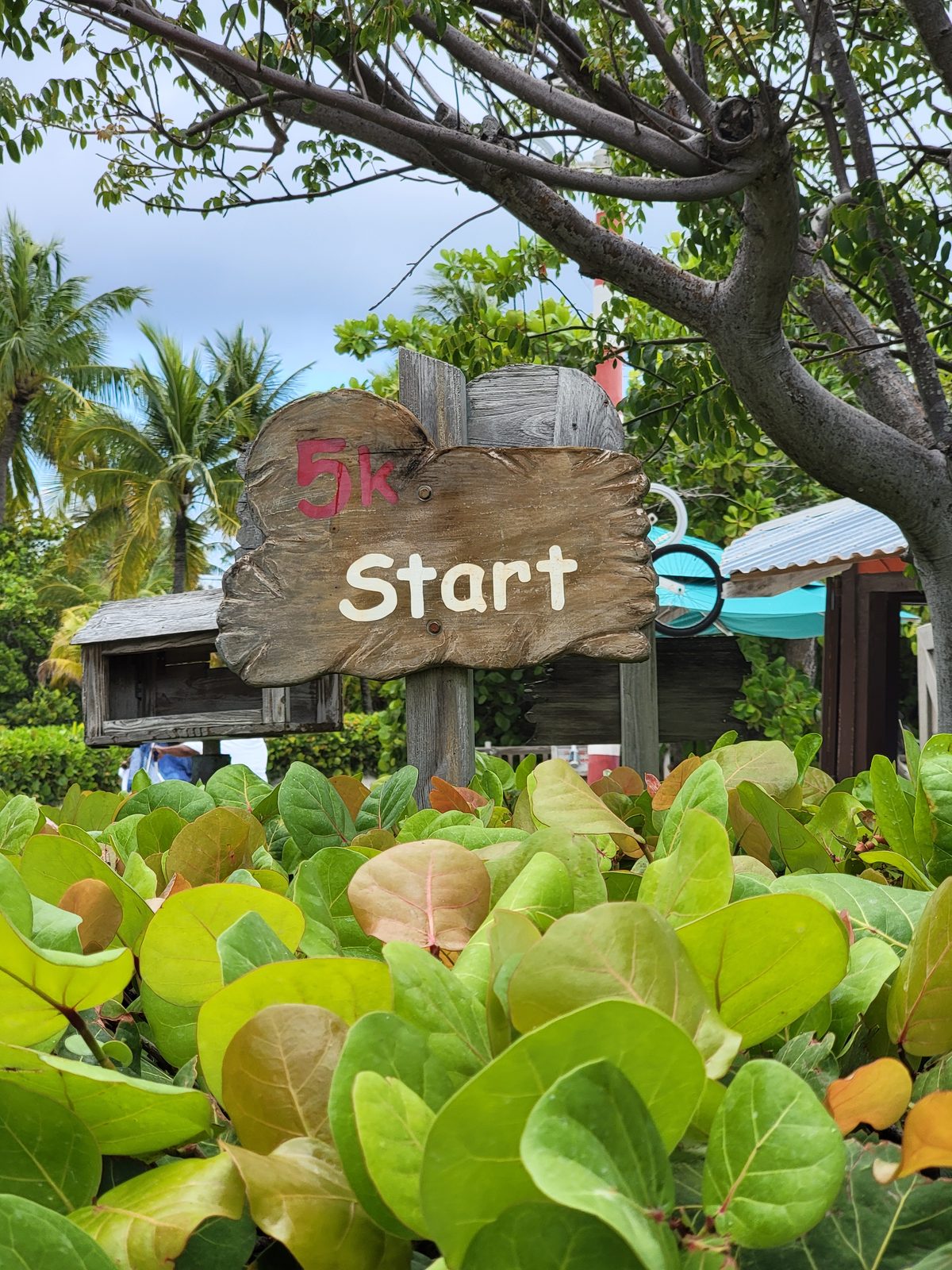 The 5K start sign