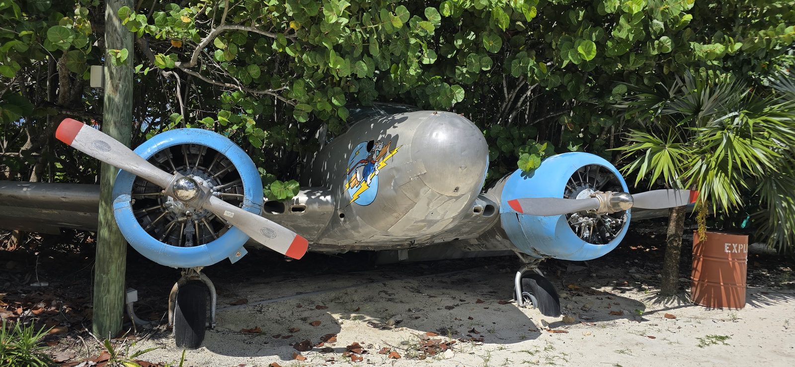 The old plane wreck tucked in the trees
