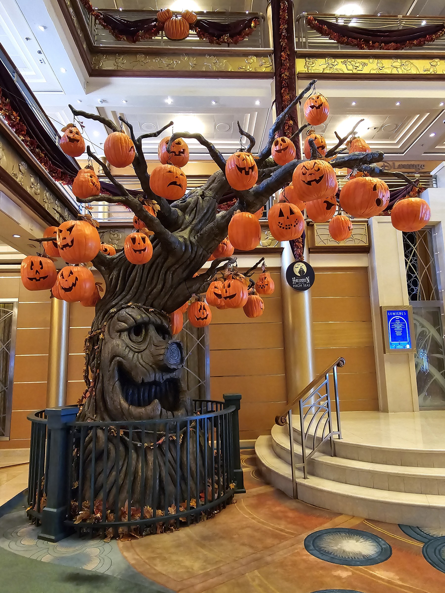 The Pumpkin Tree in the atrium