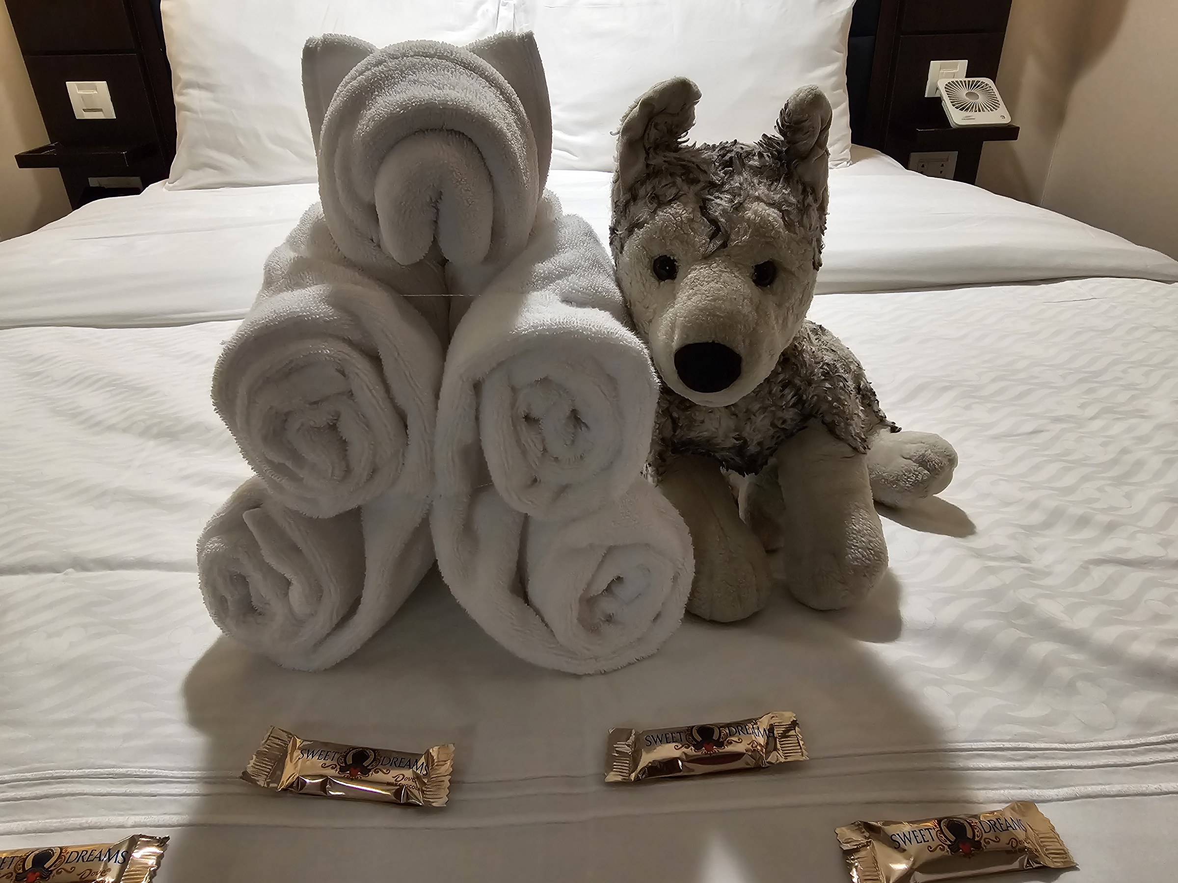 Bob meets the towel animal