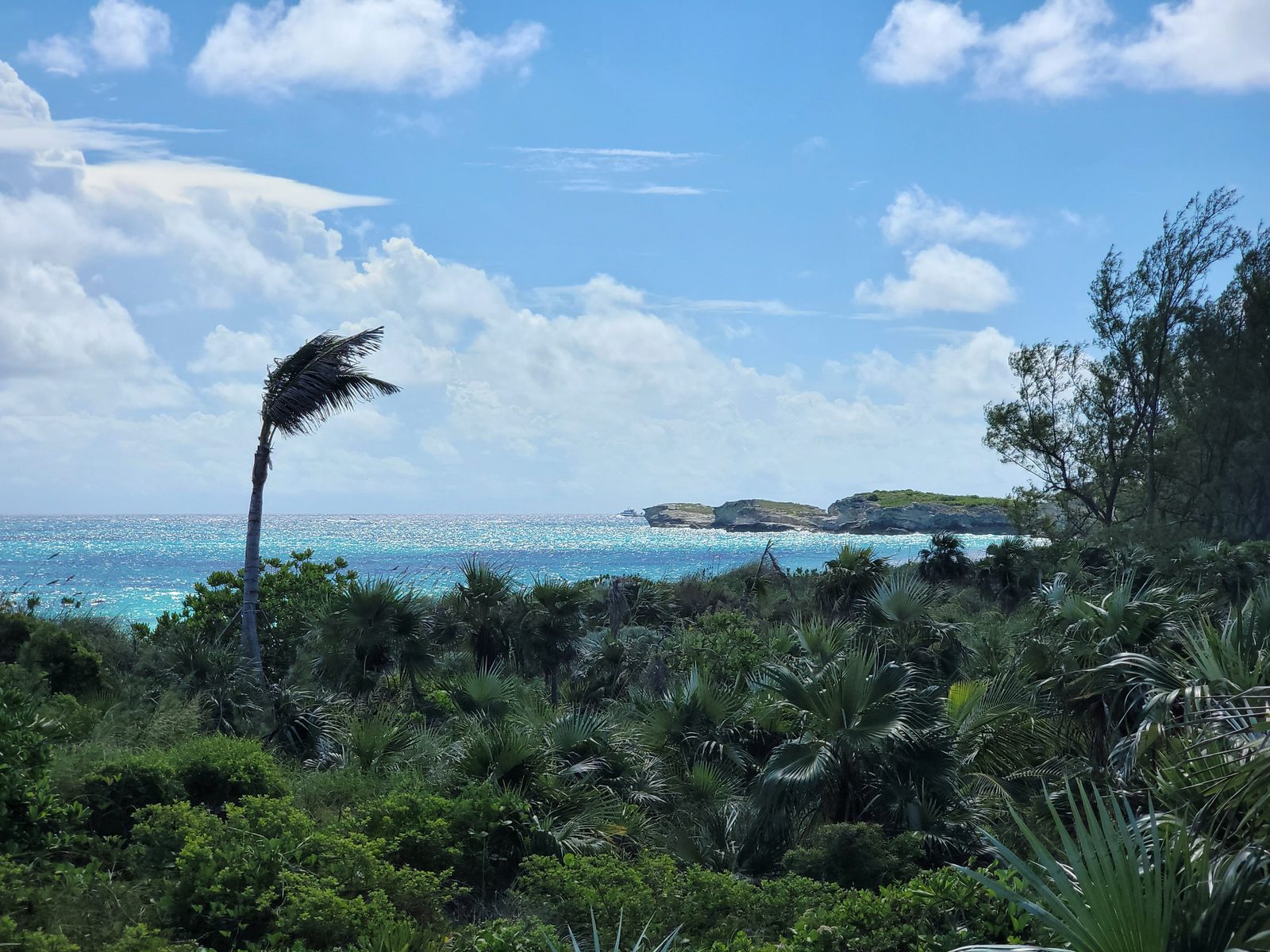 4-Night Halloween on the High Seas Bahamian Cruise to San Juan