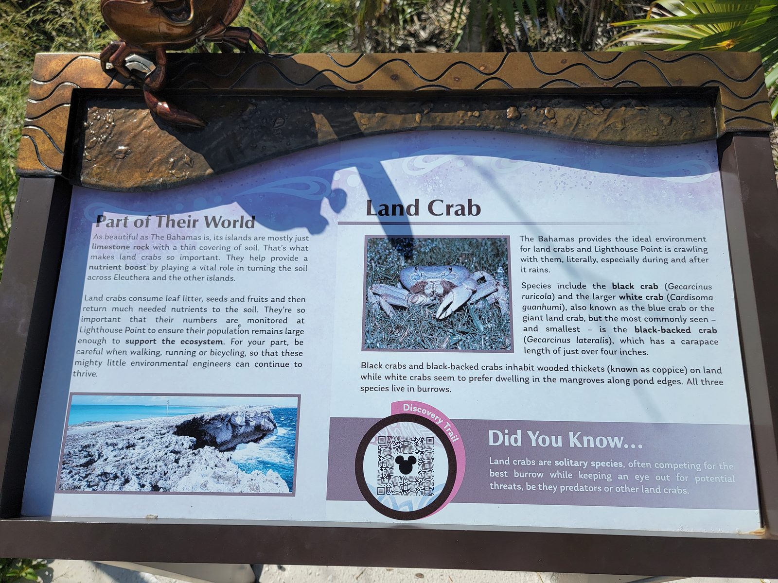 A land crab sign on the nature trail
