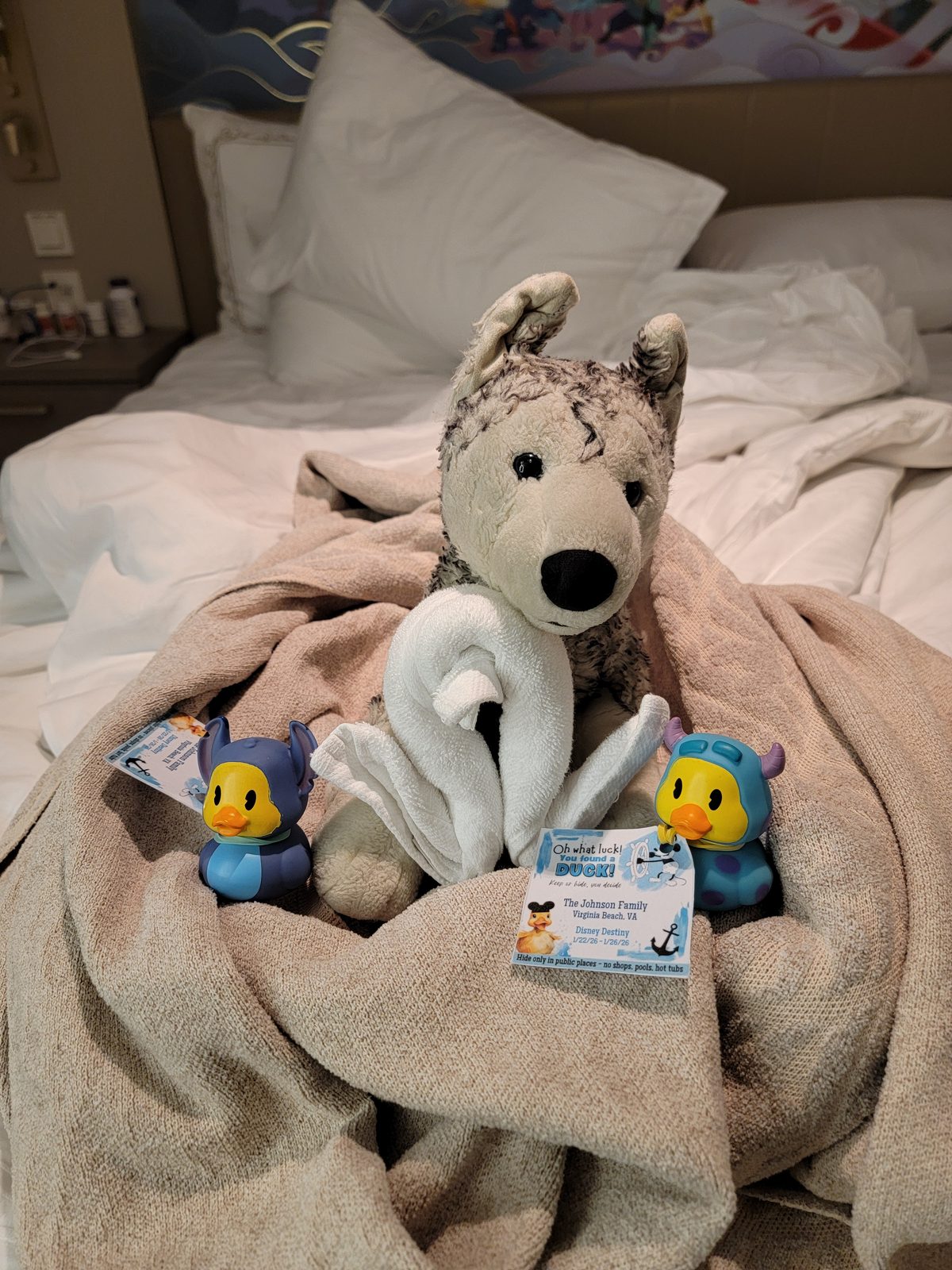 Bob and a towel swan on the bed