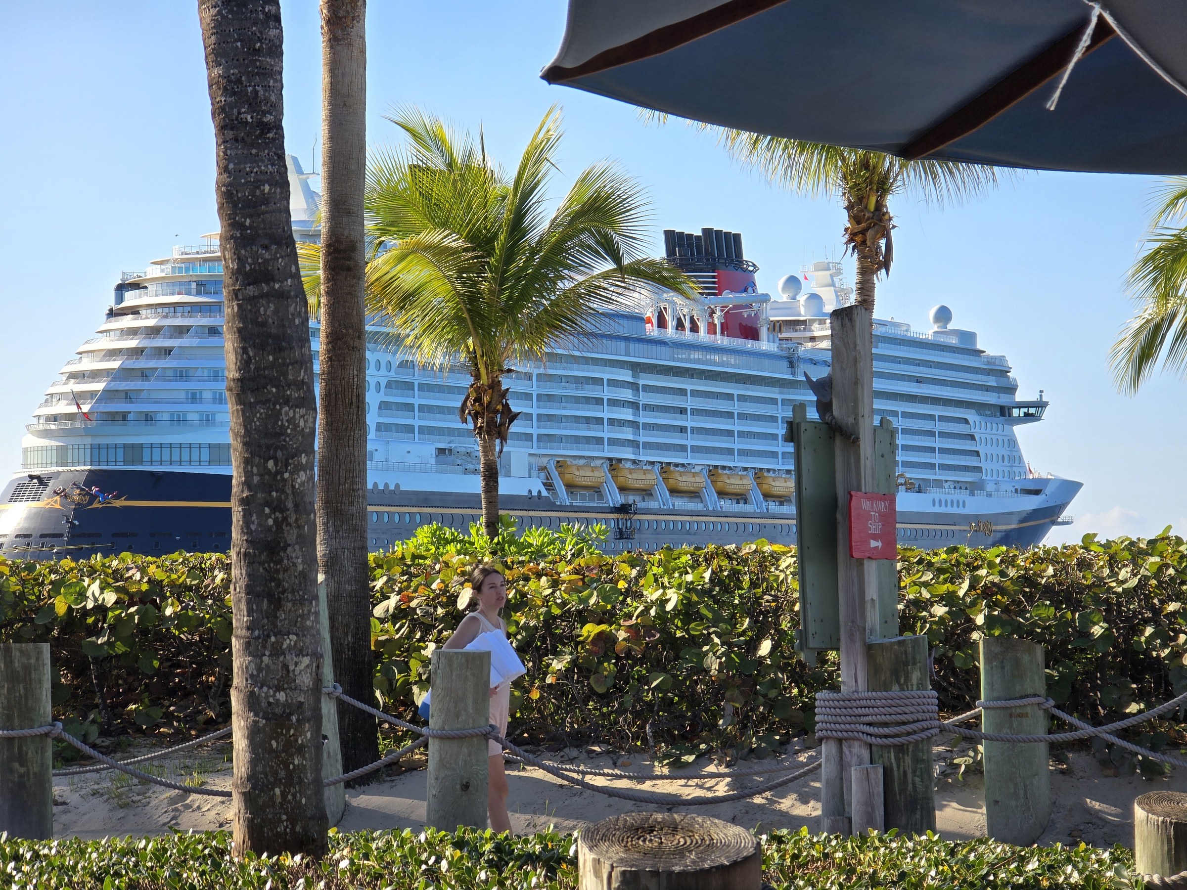 The Destiny behind the palms at Castaway Cay