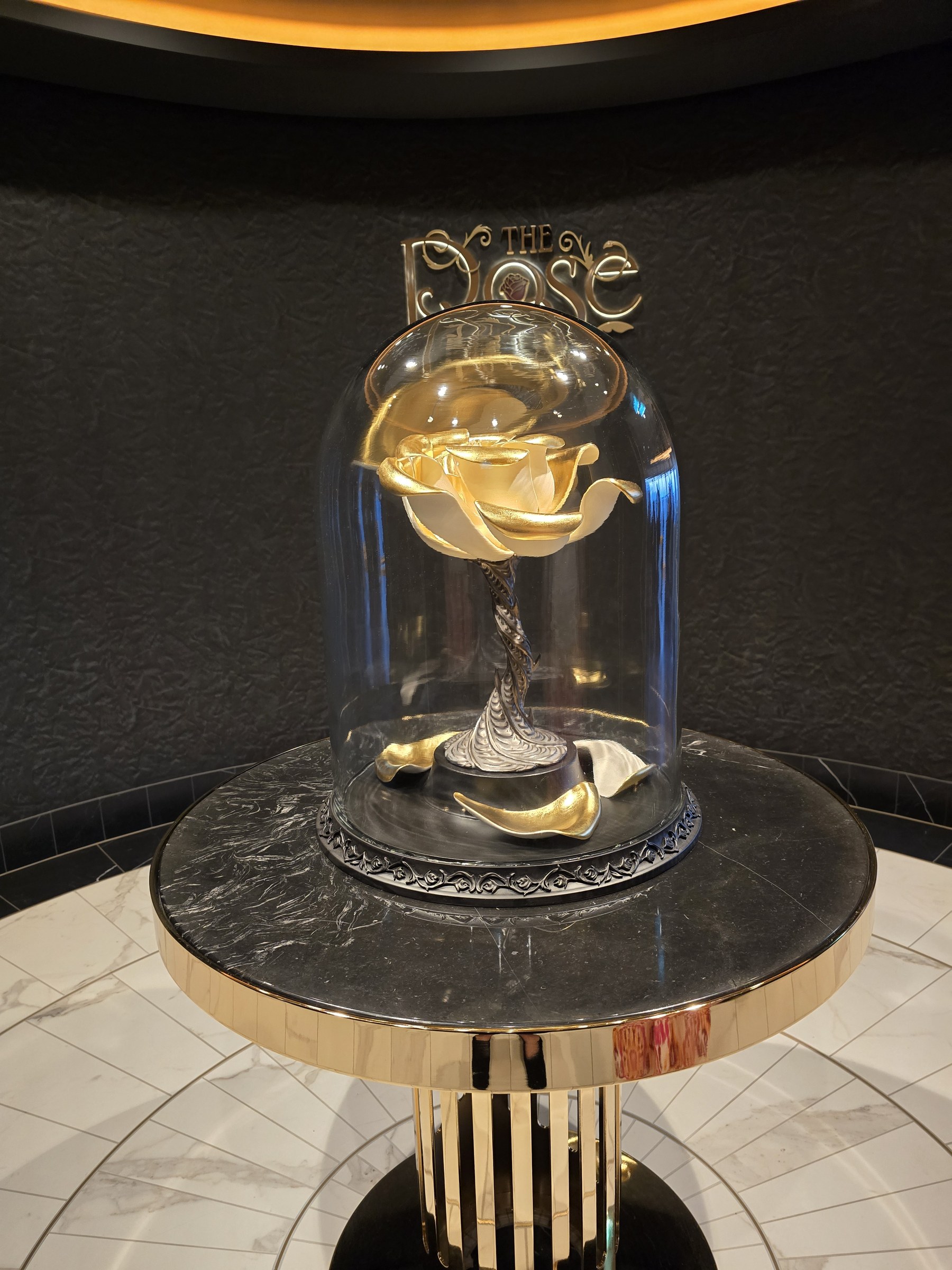 The enchanted rose under glass