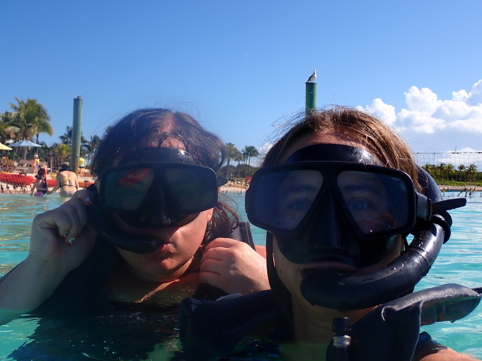 Snorkel masks on for Castaway Ray's Stingray Adventure