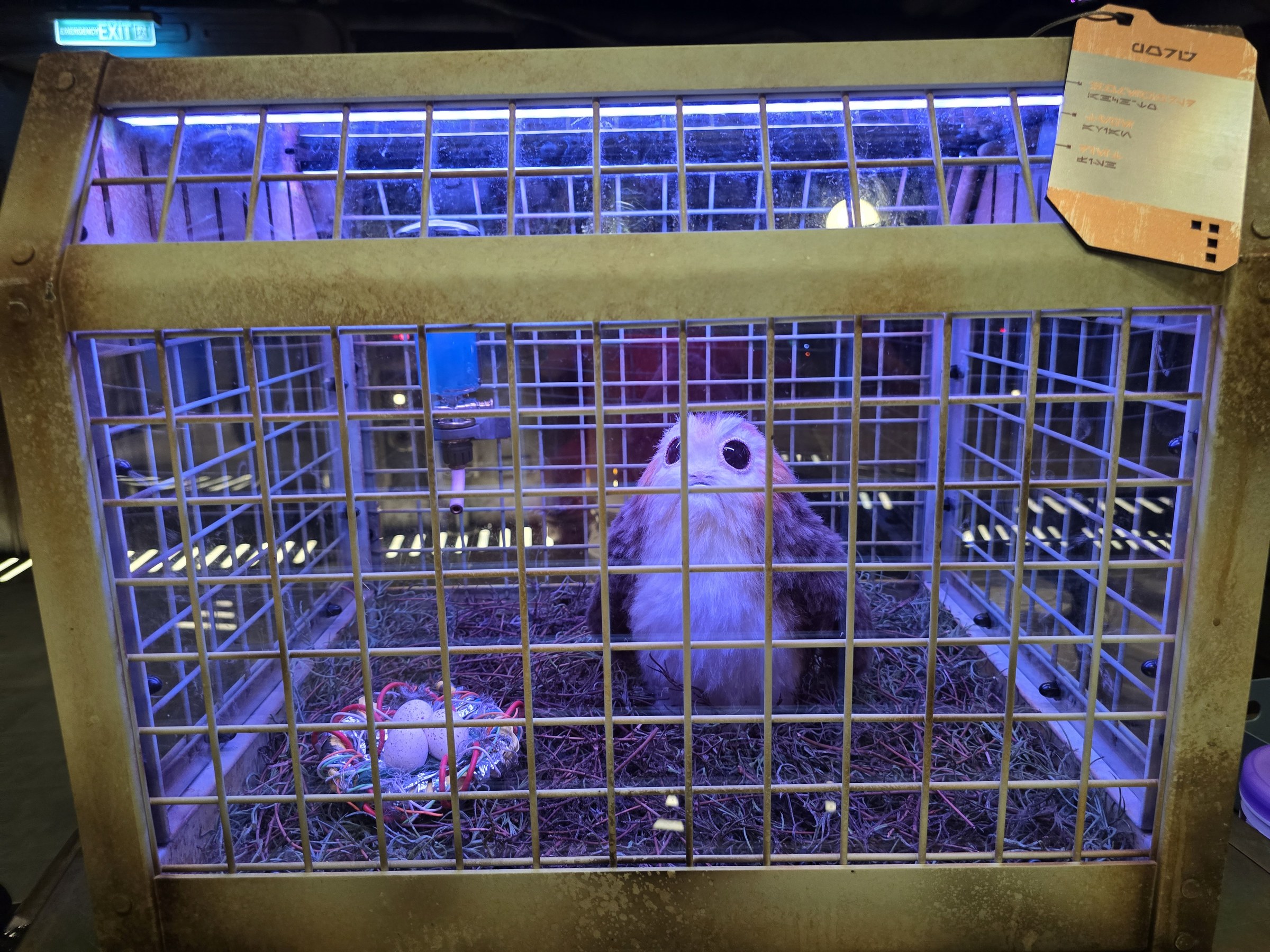 A porg in the cargo bay