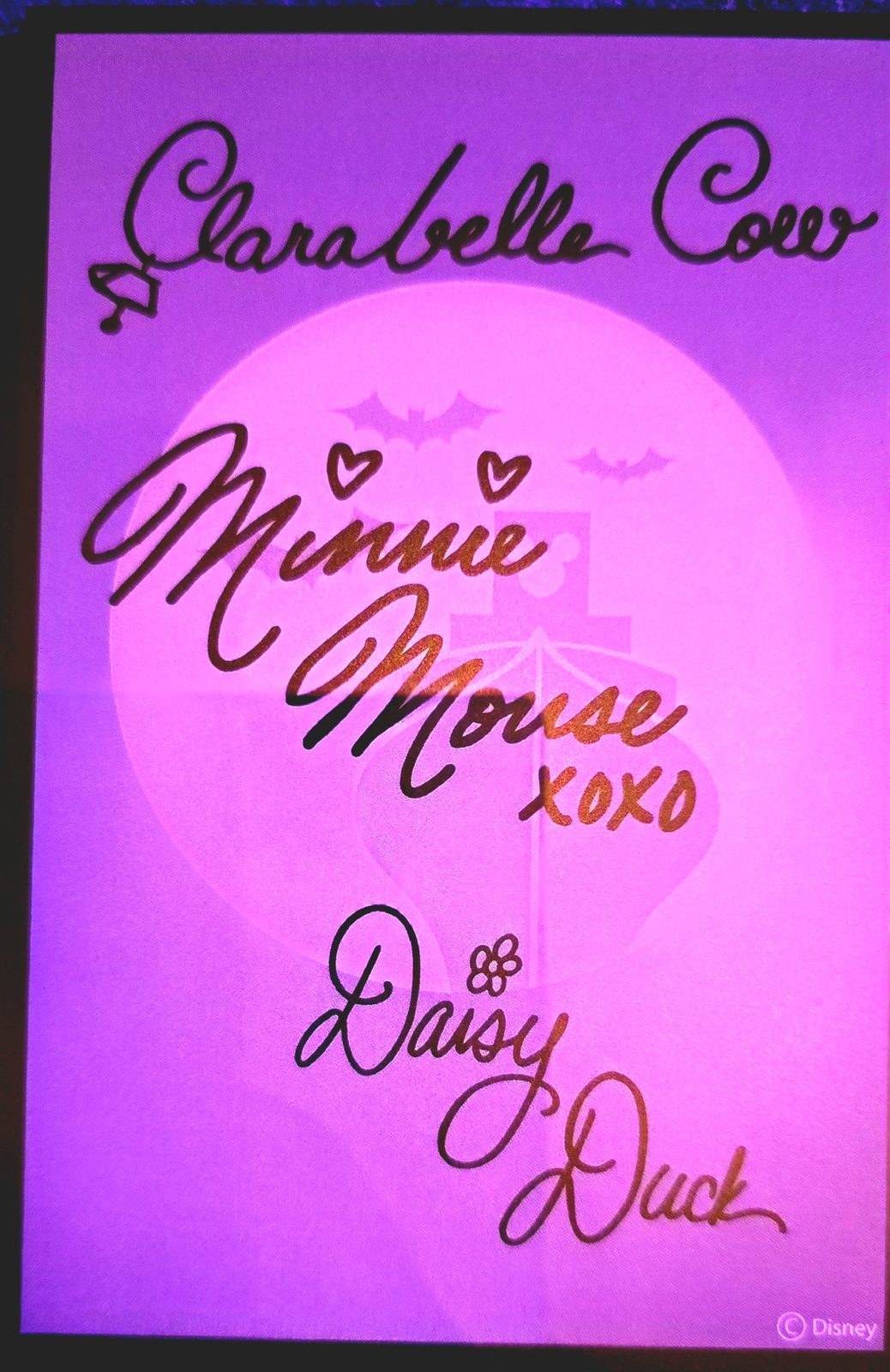 Autographs from Clarabelle, Minnie and Daisy