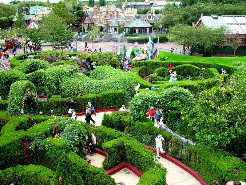 The hedge maze we wandered at Disneyland Paris