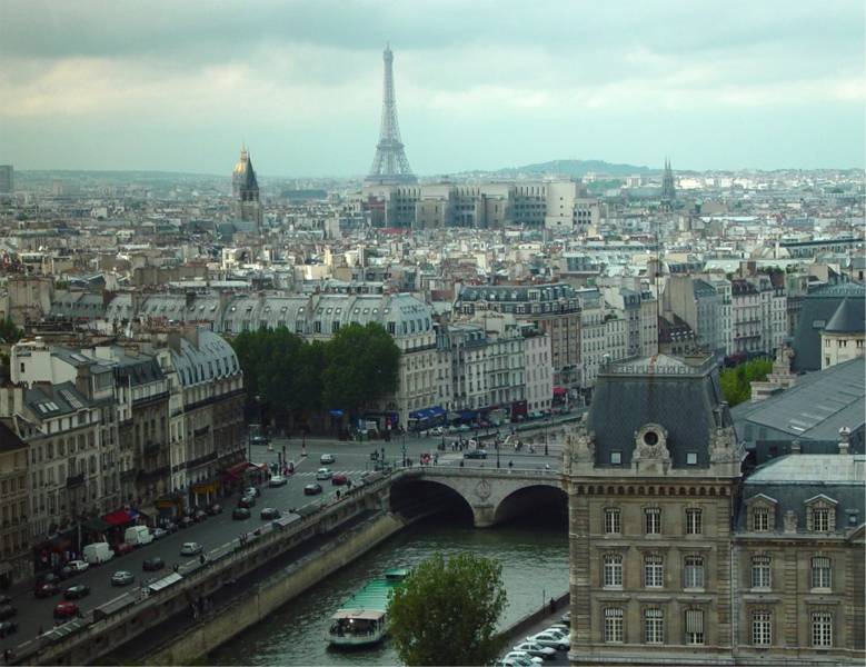Paris and the Eiffel Tower from Notre-Dame