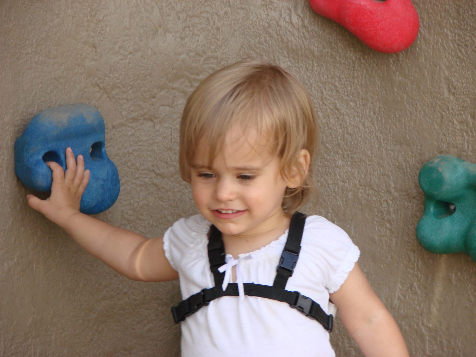 Lisa climbing the wall at the playground
