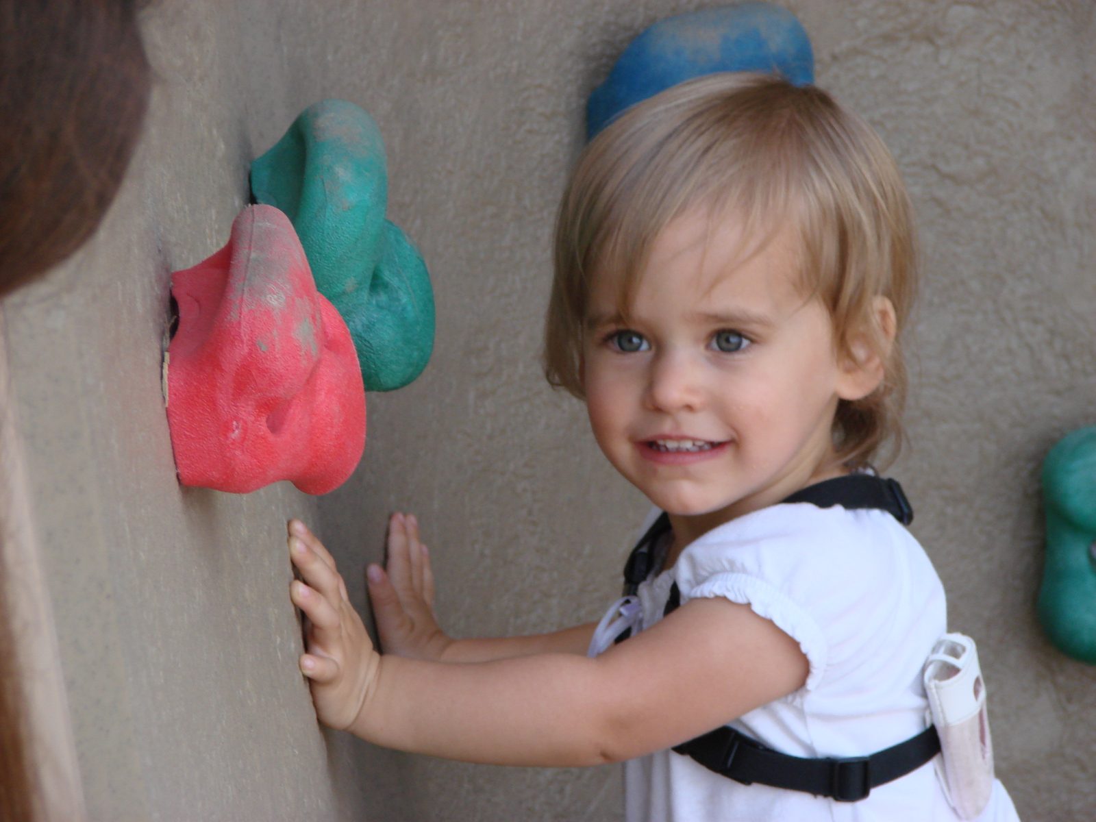 Lisa working the climbing wall at a rest stop