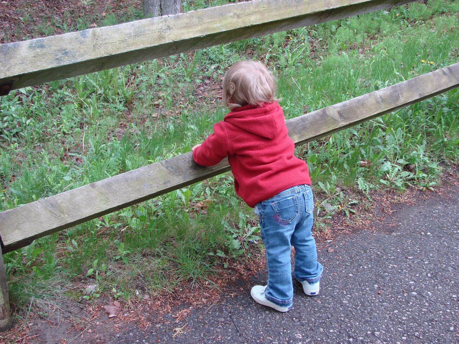 Lisa at the fence along the trail