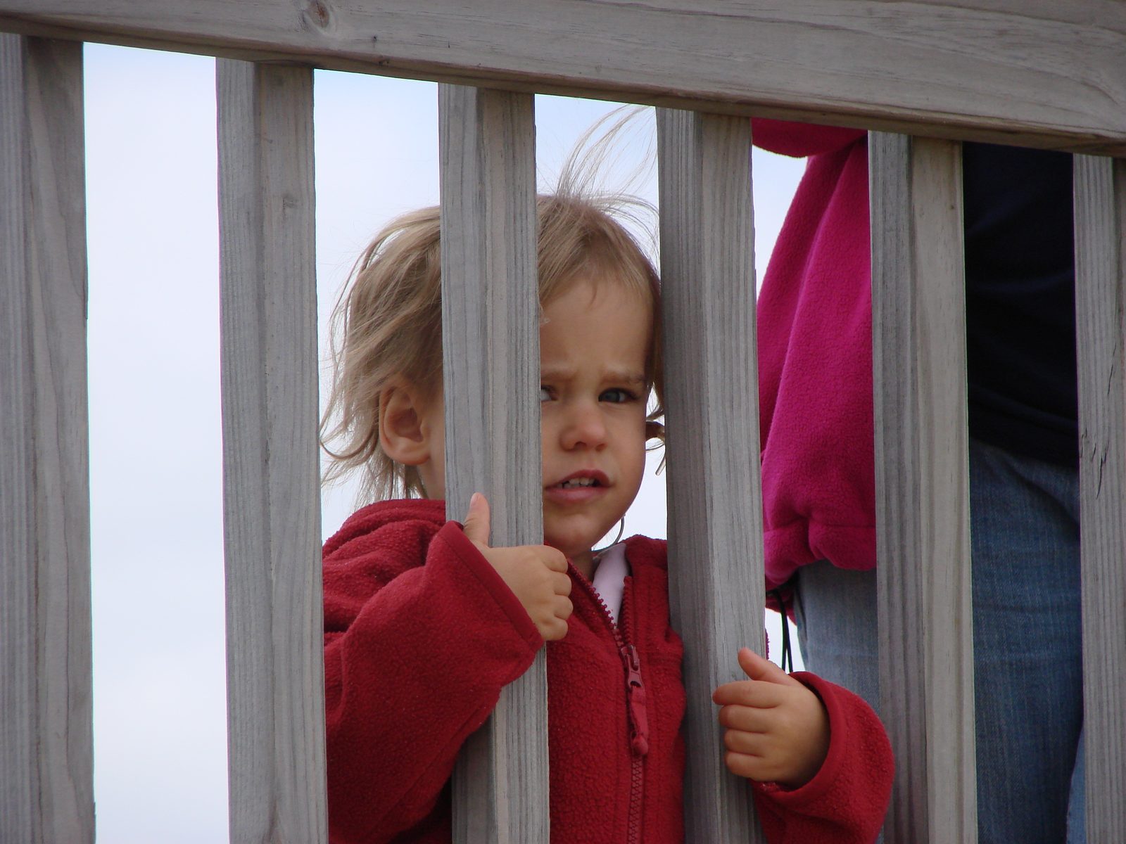 Lisa peeking through the fence