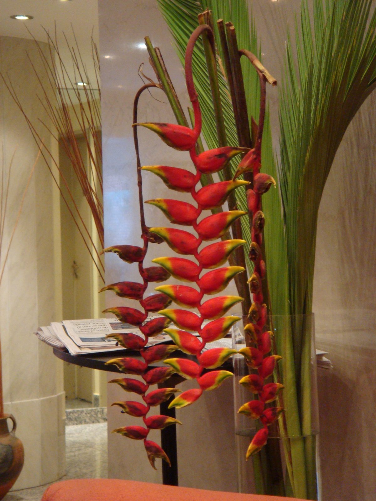 Bright red flowers in the Étoile lobby