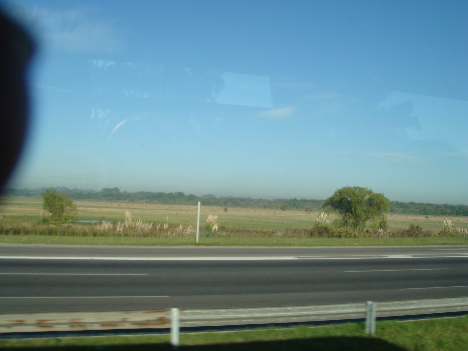 Flat green fields on the drive to Zárate