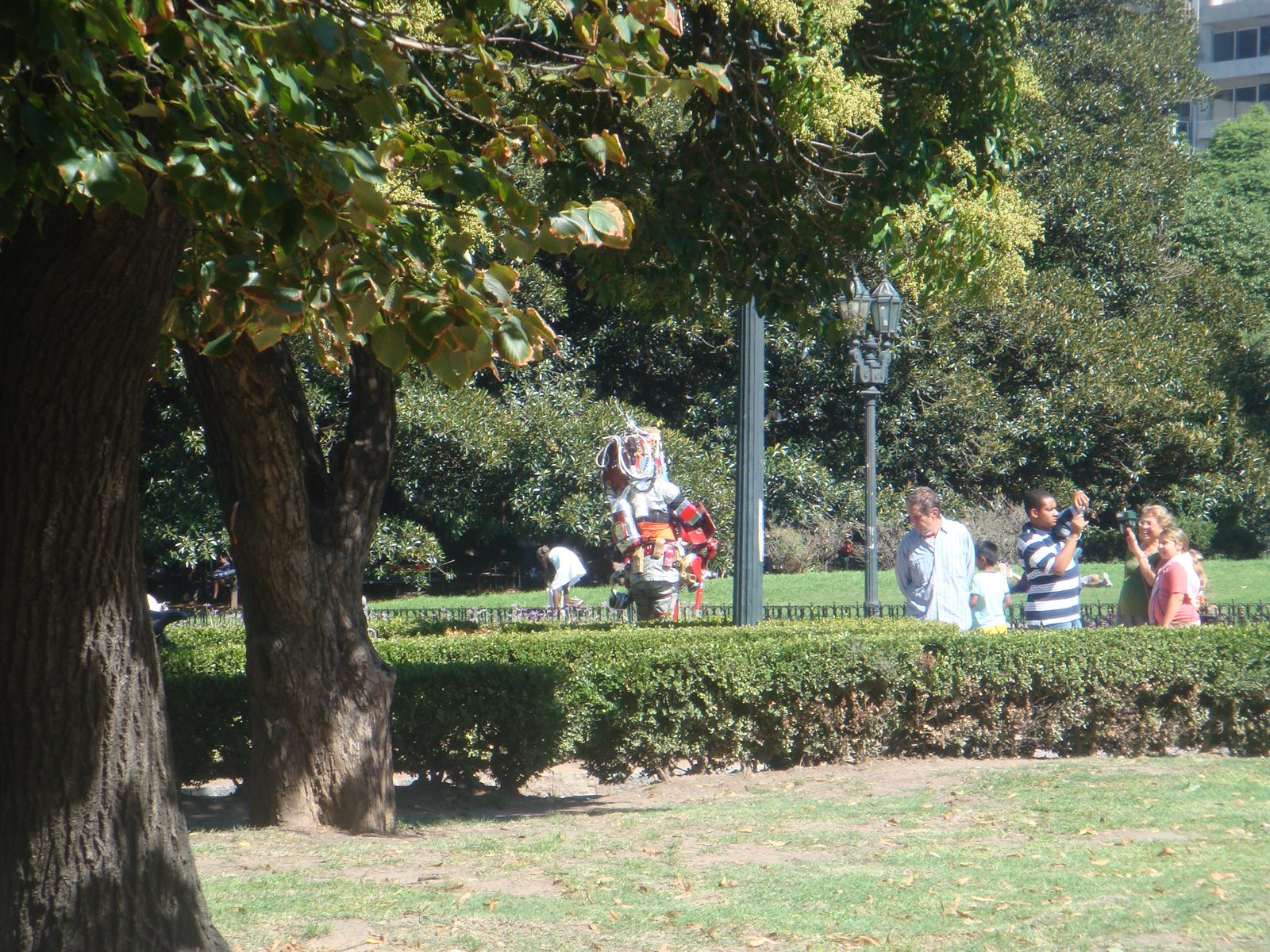 A street performer in the park