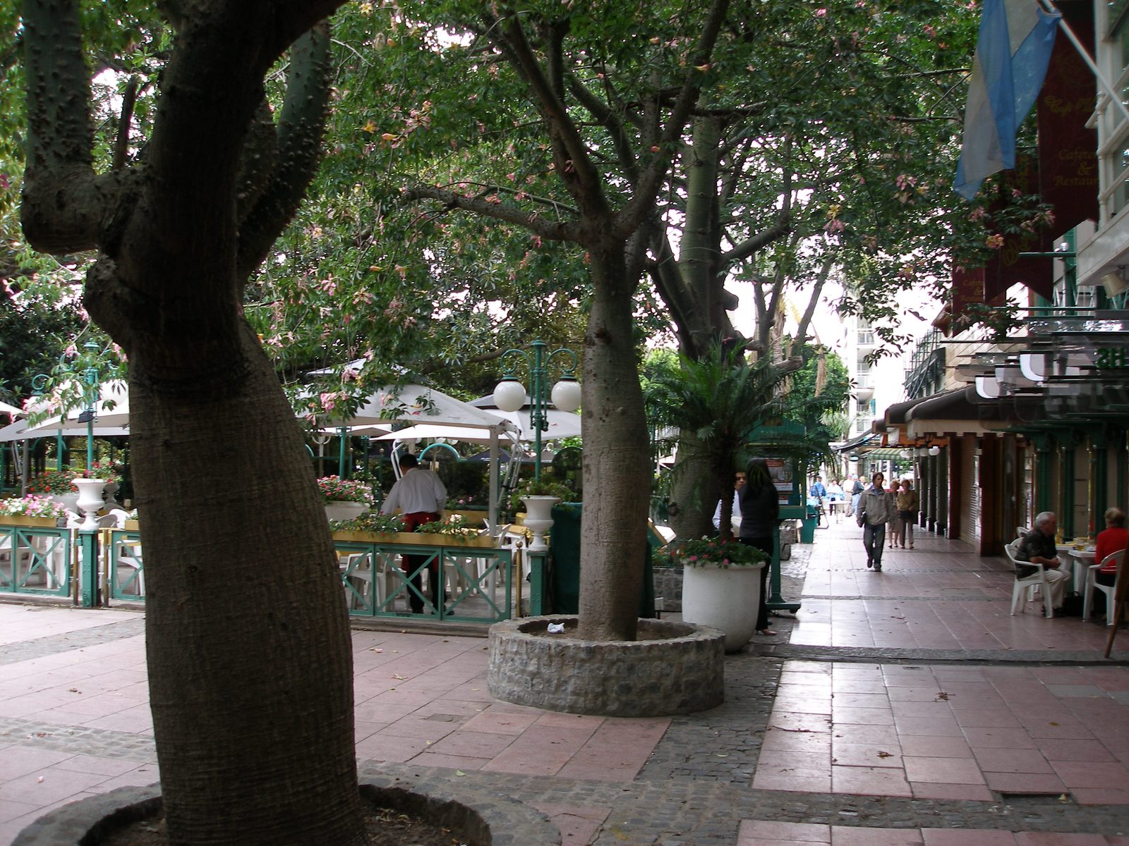 The tree-lined street outside our hotel in Recoleta