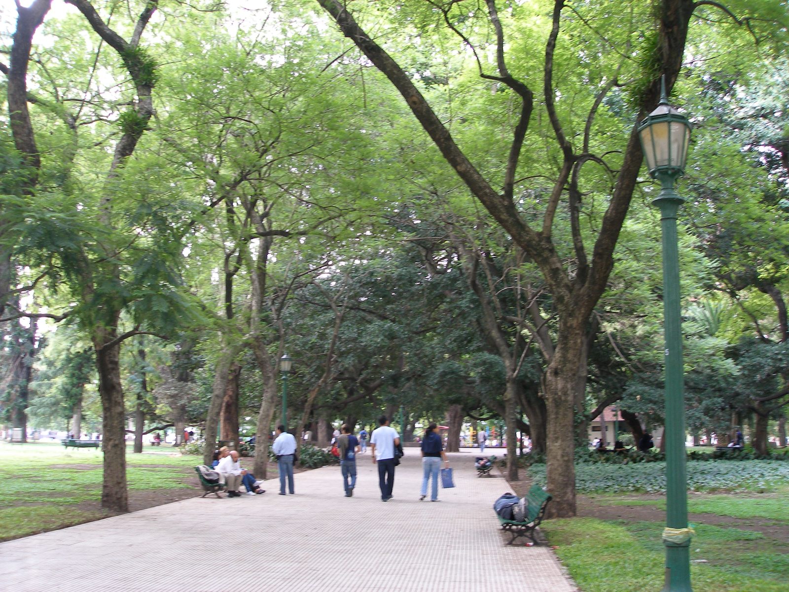 A tree-lined path toward Retiro