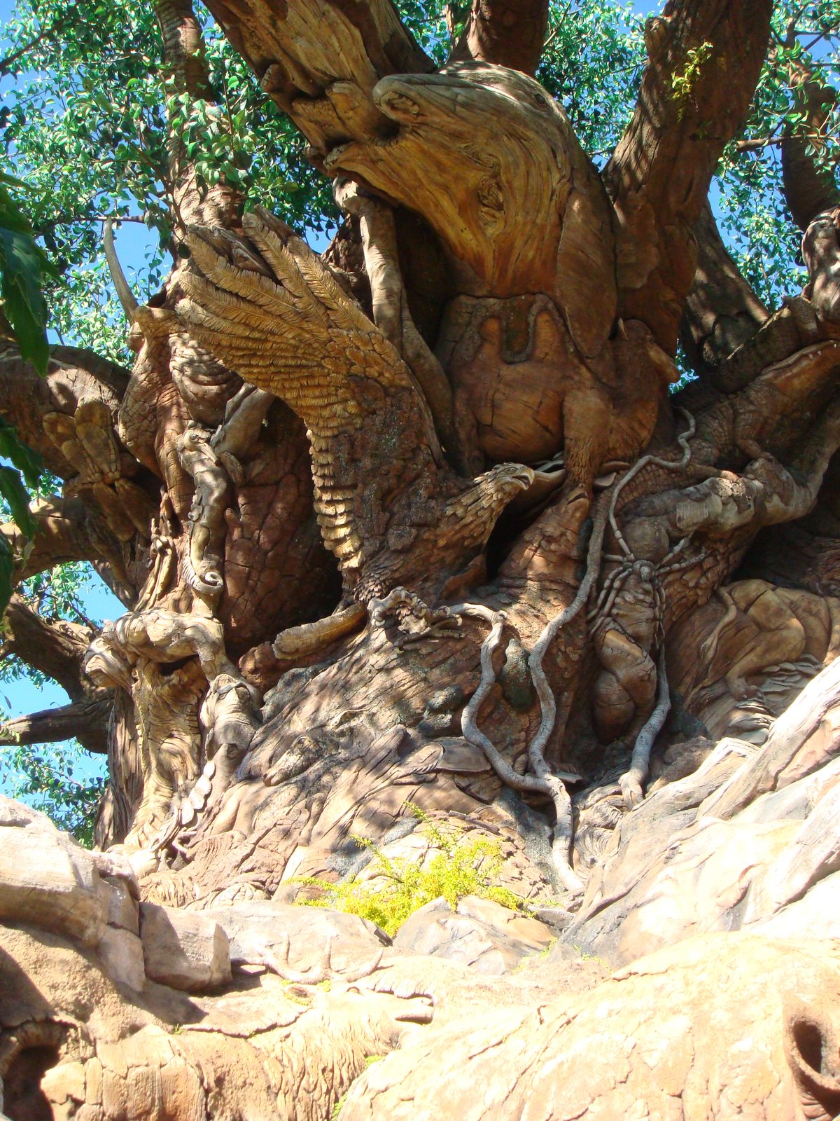The carved animals on the Tree of Life