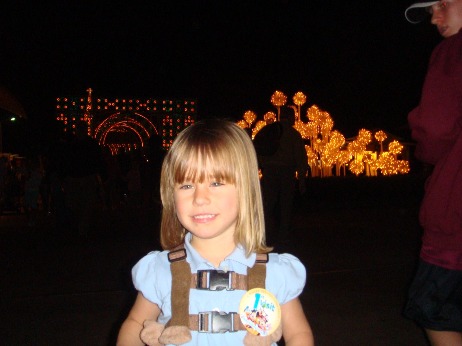 Lisa among the holiday lights after dark