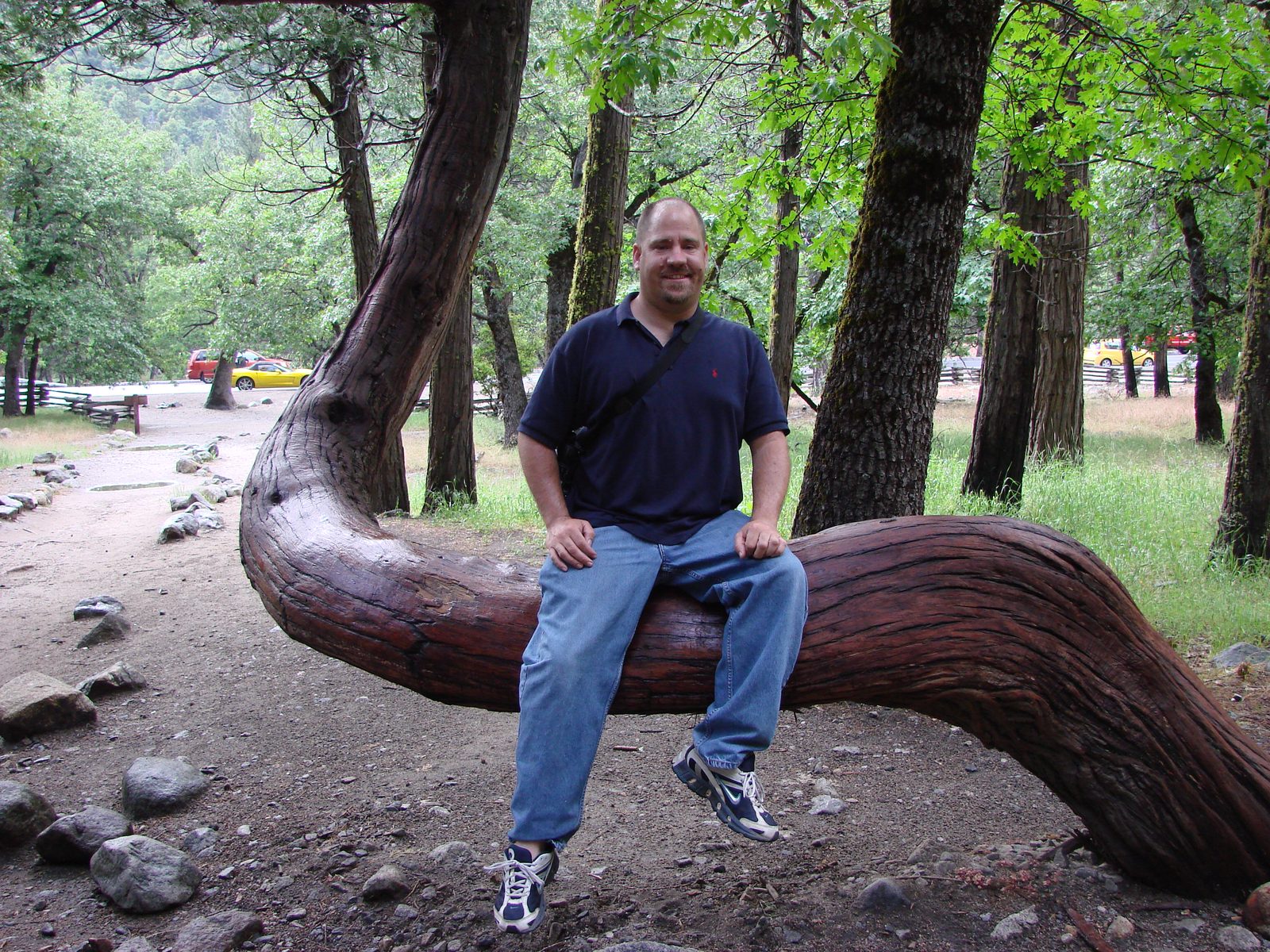 Me on the bent old tree trunk near the water