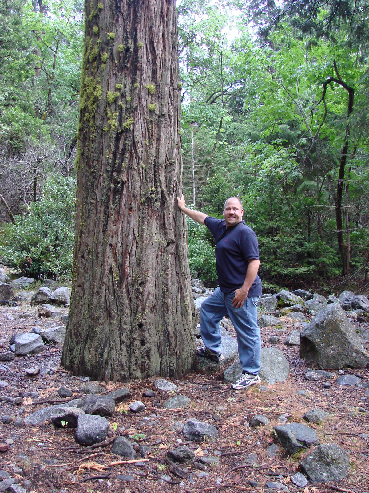 Michael next to a giant sequoia in Yosemite
